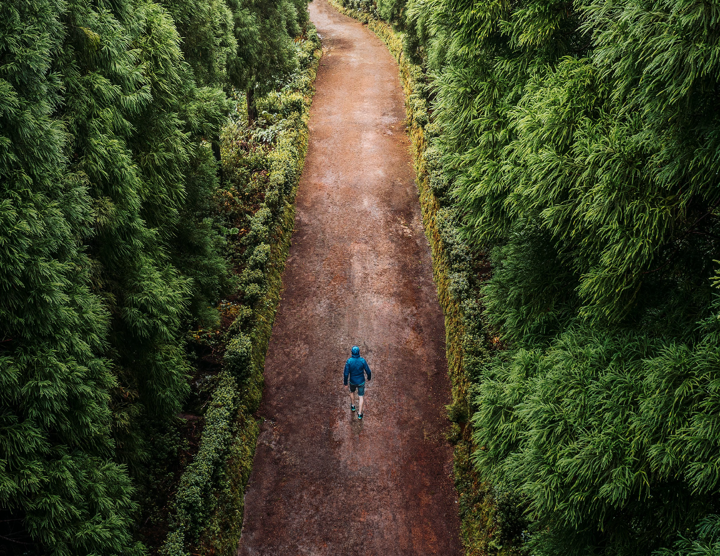 Crisis Management Training Report