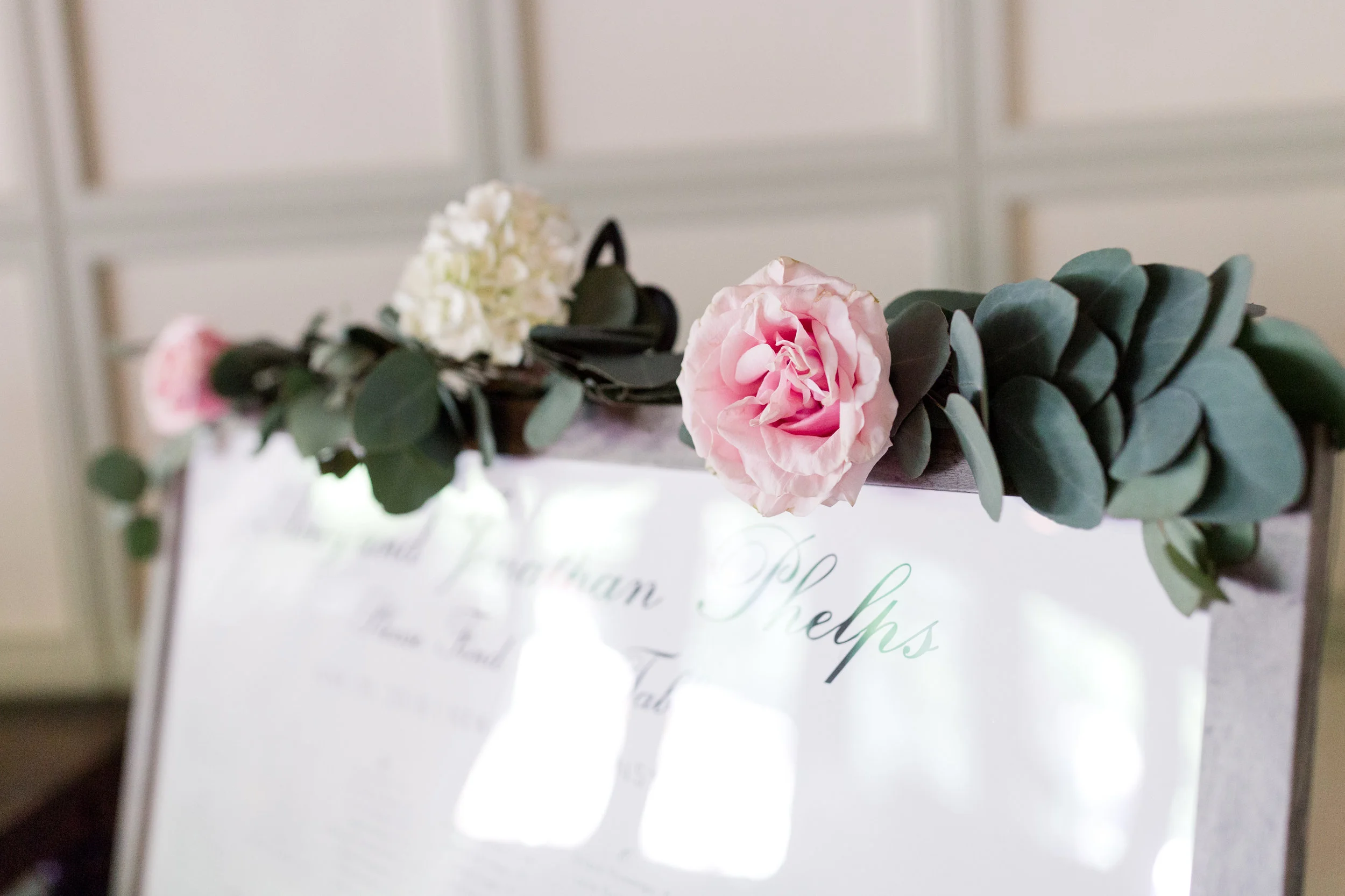 Adrienne Matz Photography