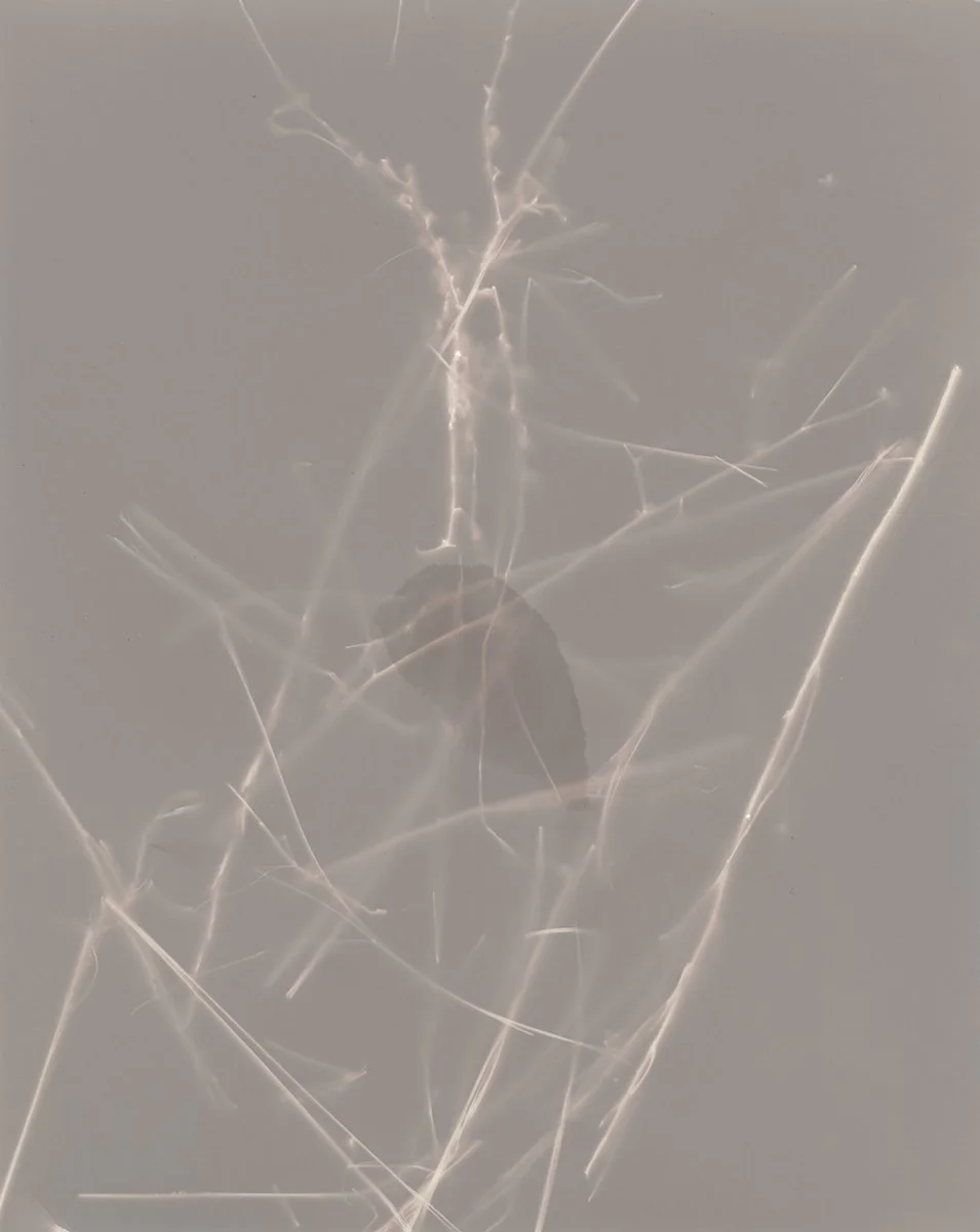 Lumen1.jpg