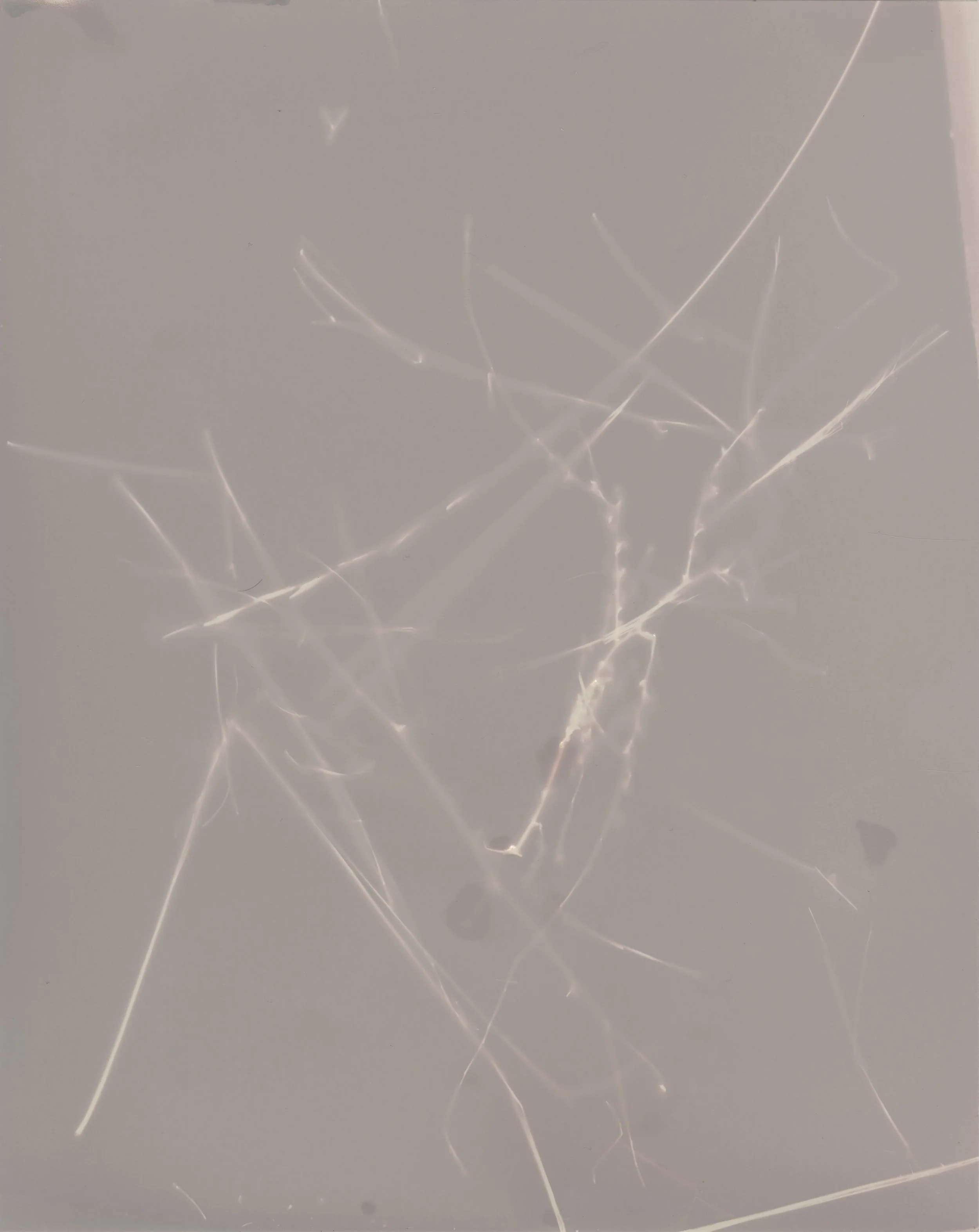 Lumen10011 copy.jpg
