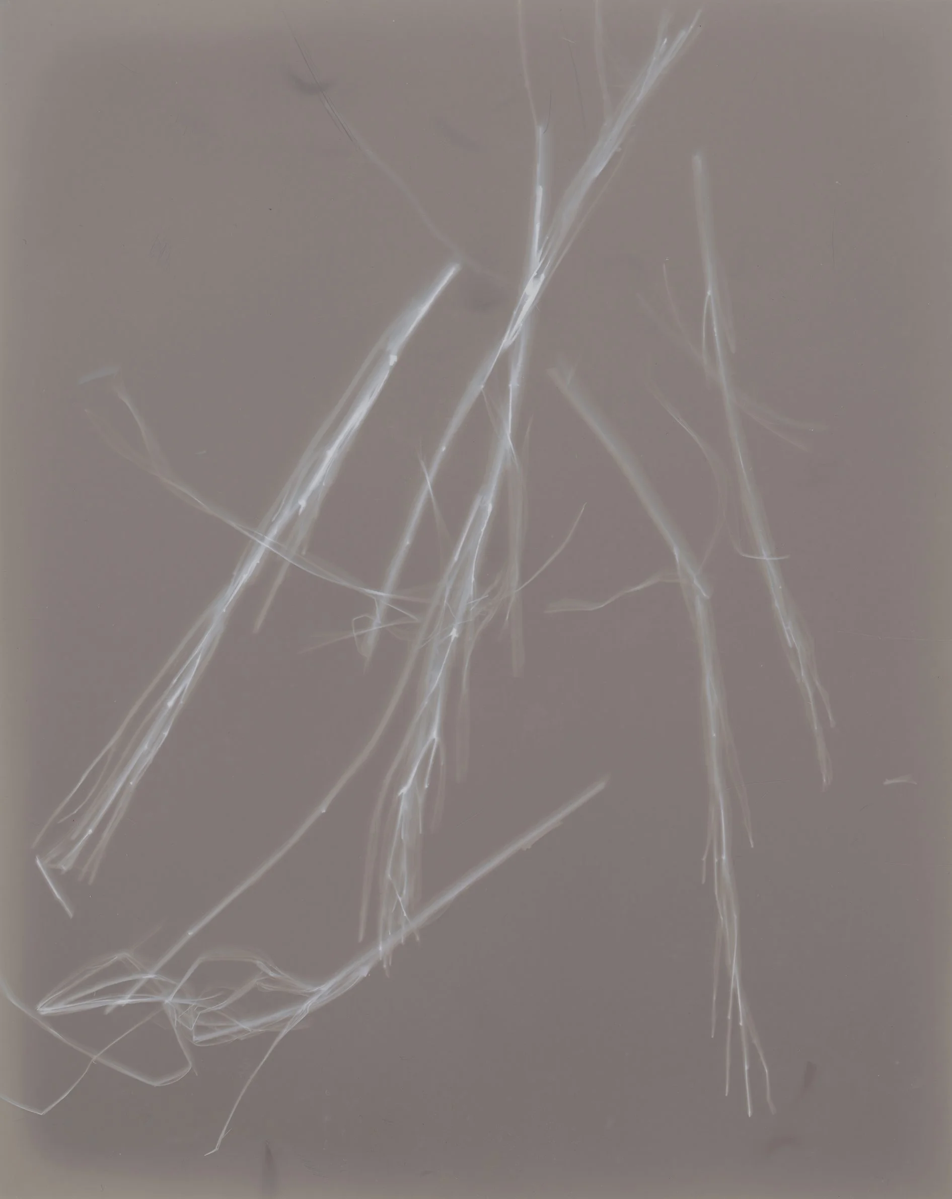 Lumen10002 copy.jpg