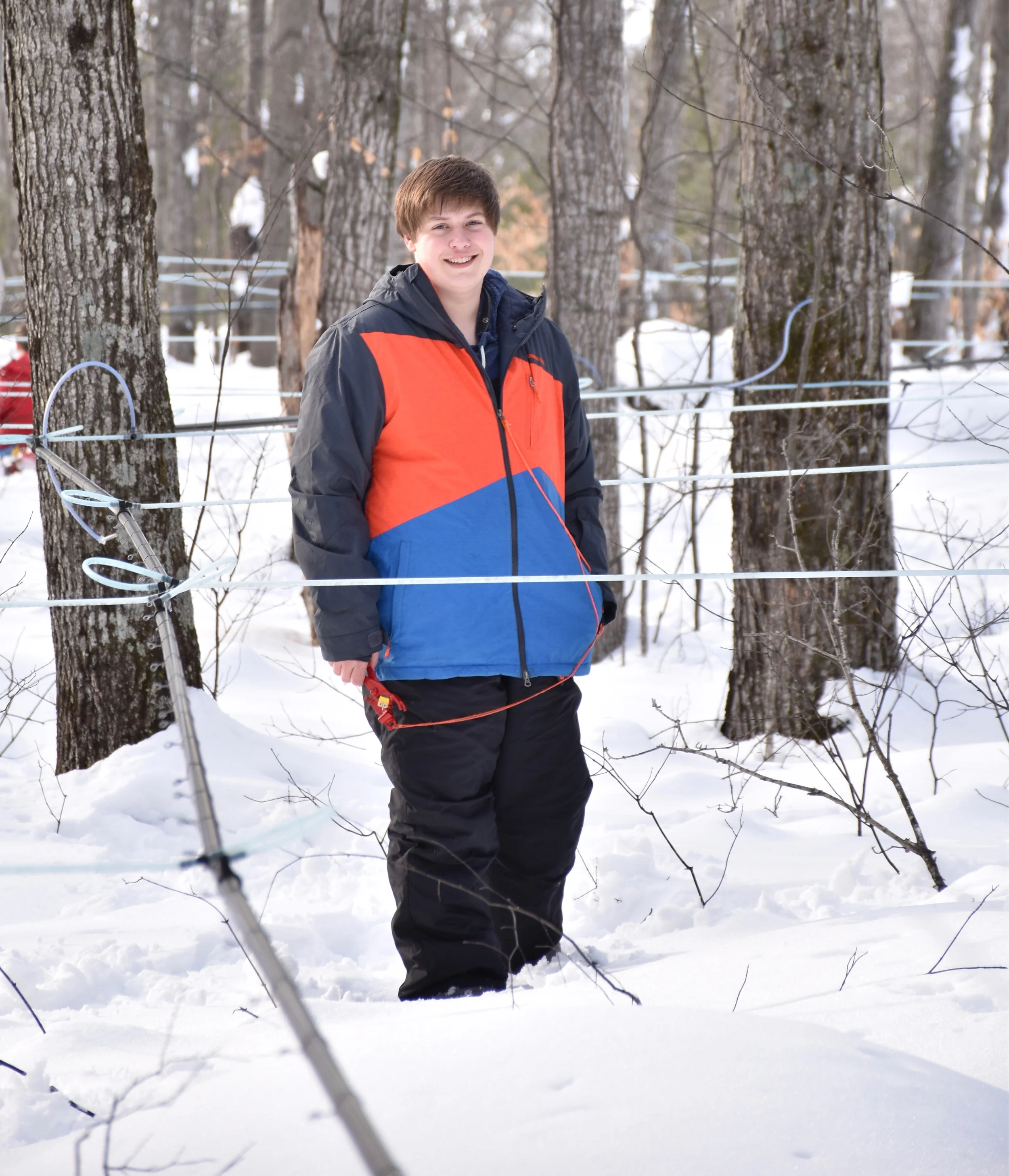 A grandson helps tap the trees in the late winter.
