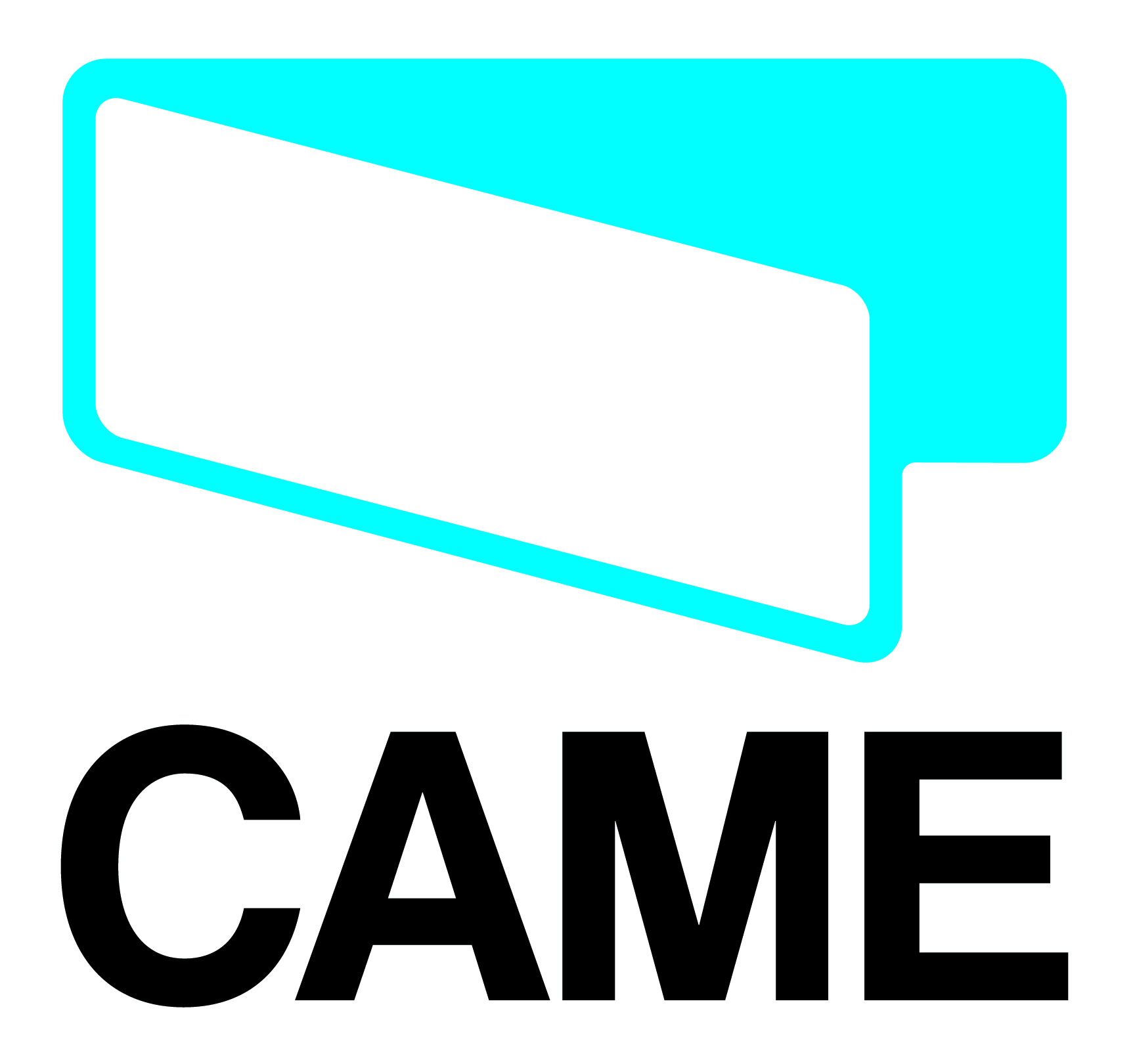 came_logo.jpg