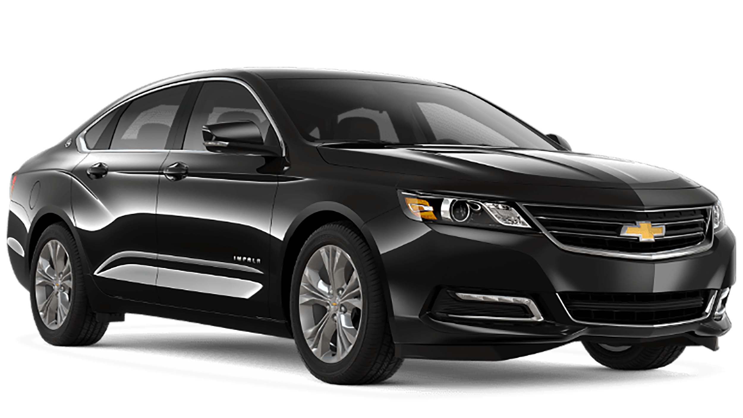 Stay Cool With Thoroughbred