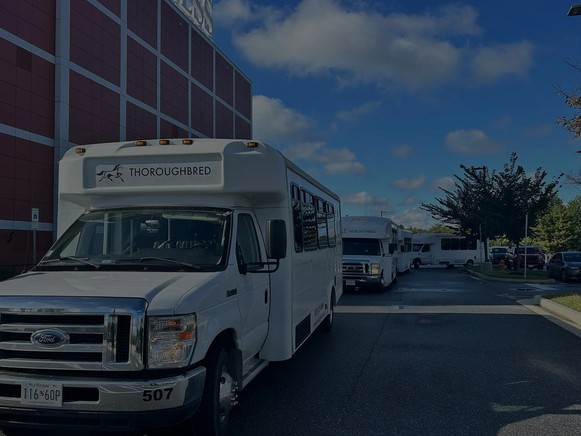 Thoroughbred Welcome.jpg