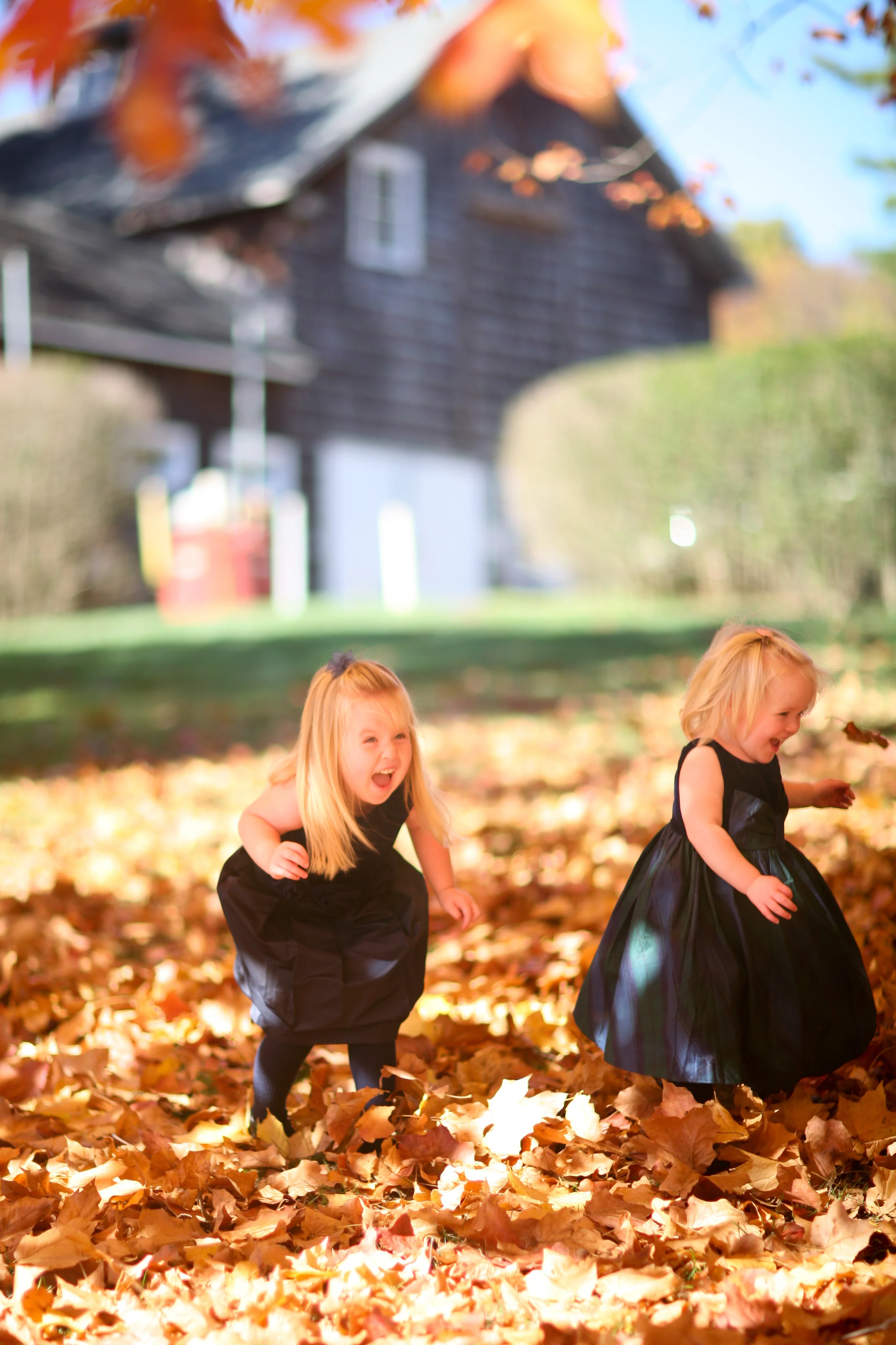 October 10, 2015-1-4.jpg