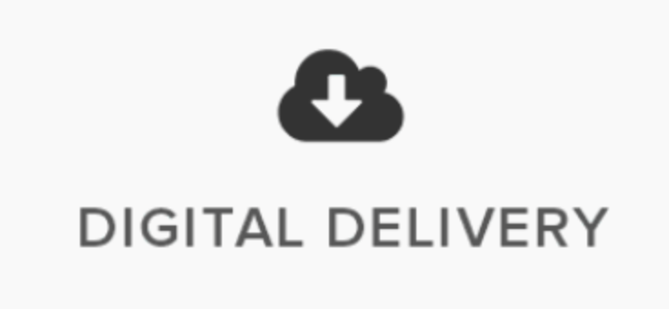 Digital Delivery Image.png