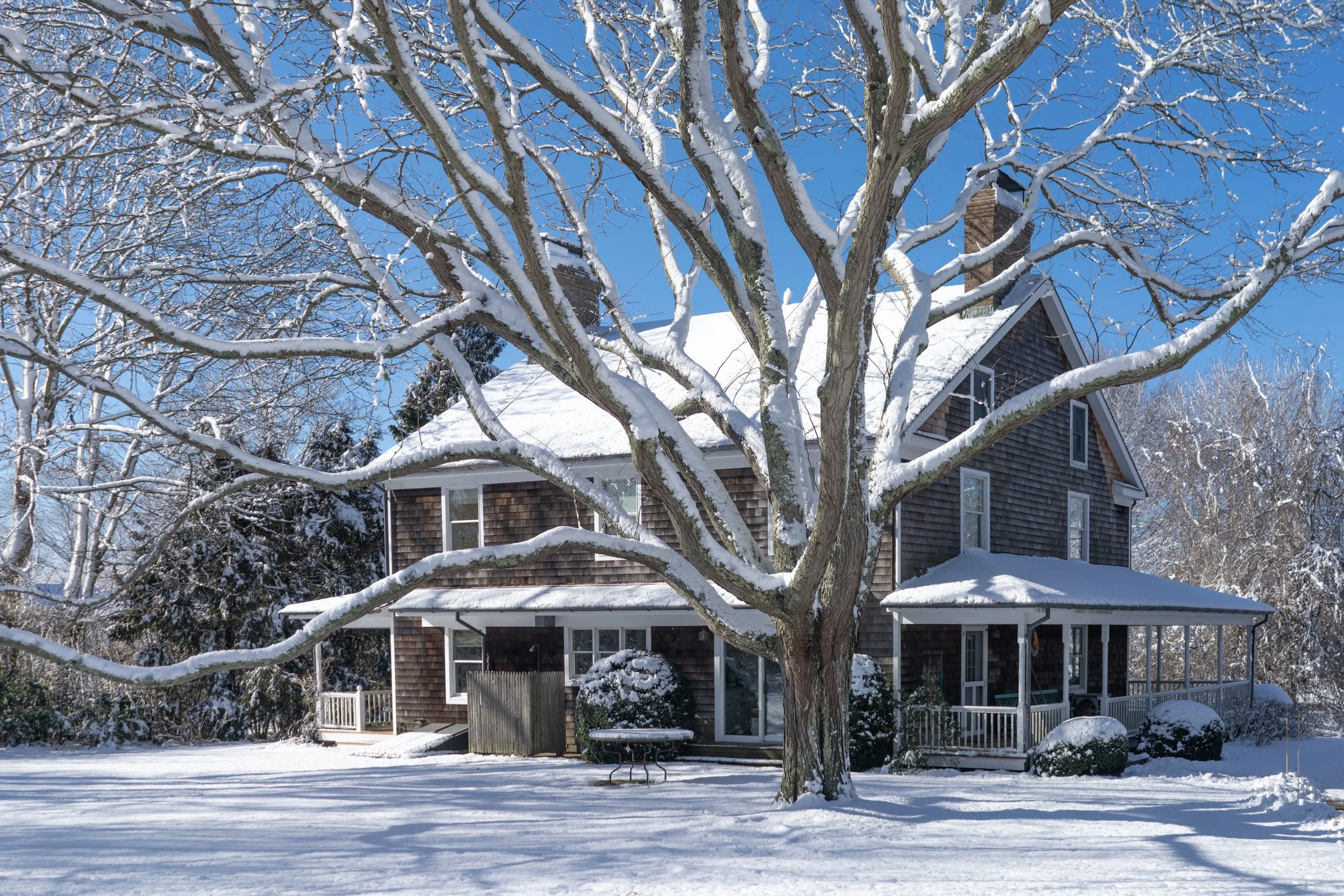 It Became Our Alpha Tree