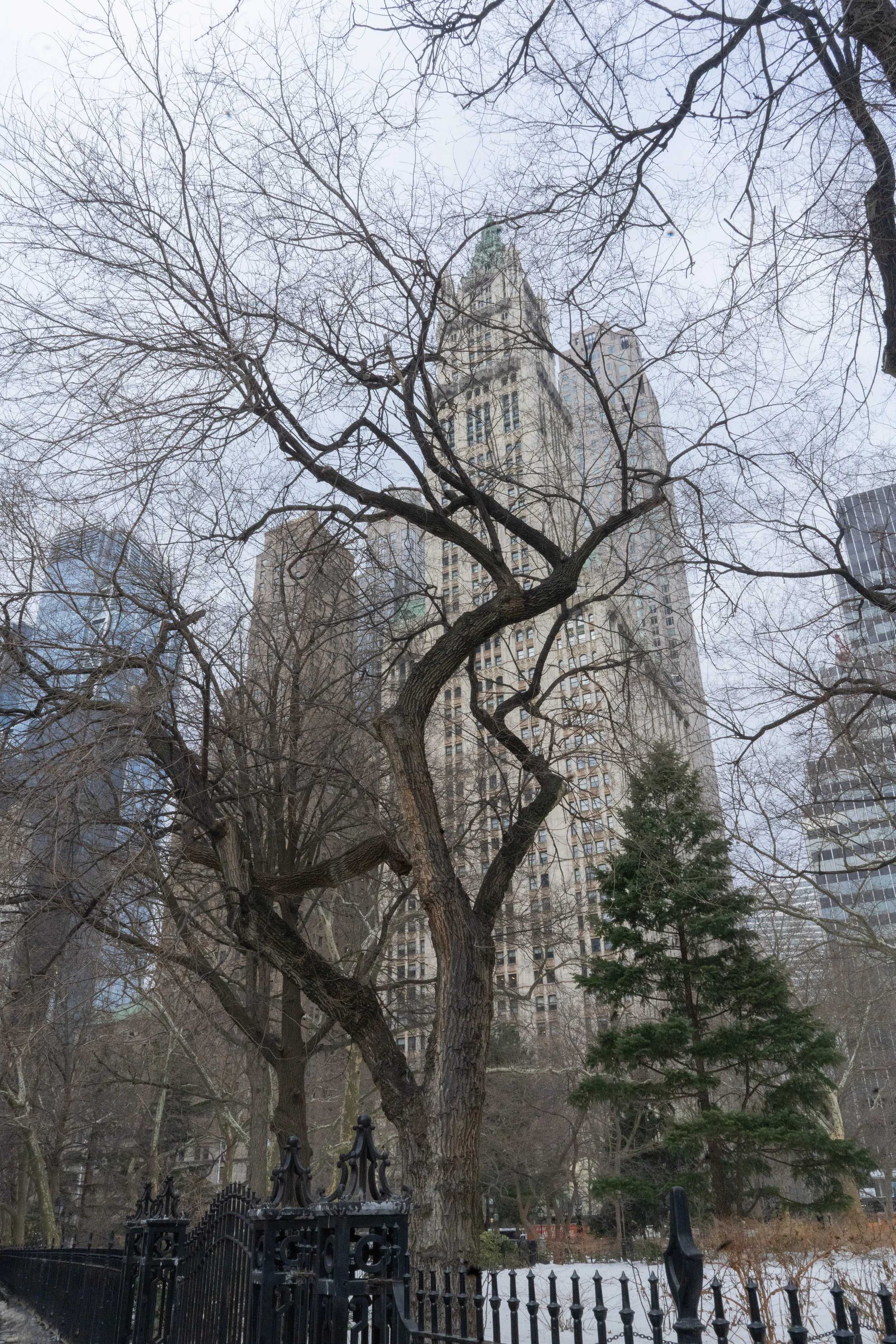 260211_WoolworthBuilding_DSC00824.jpg