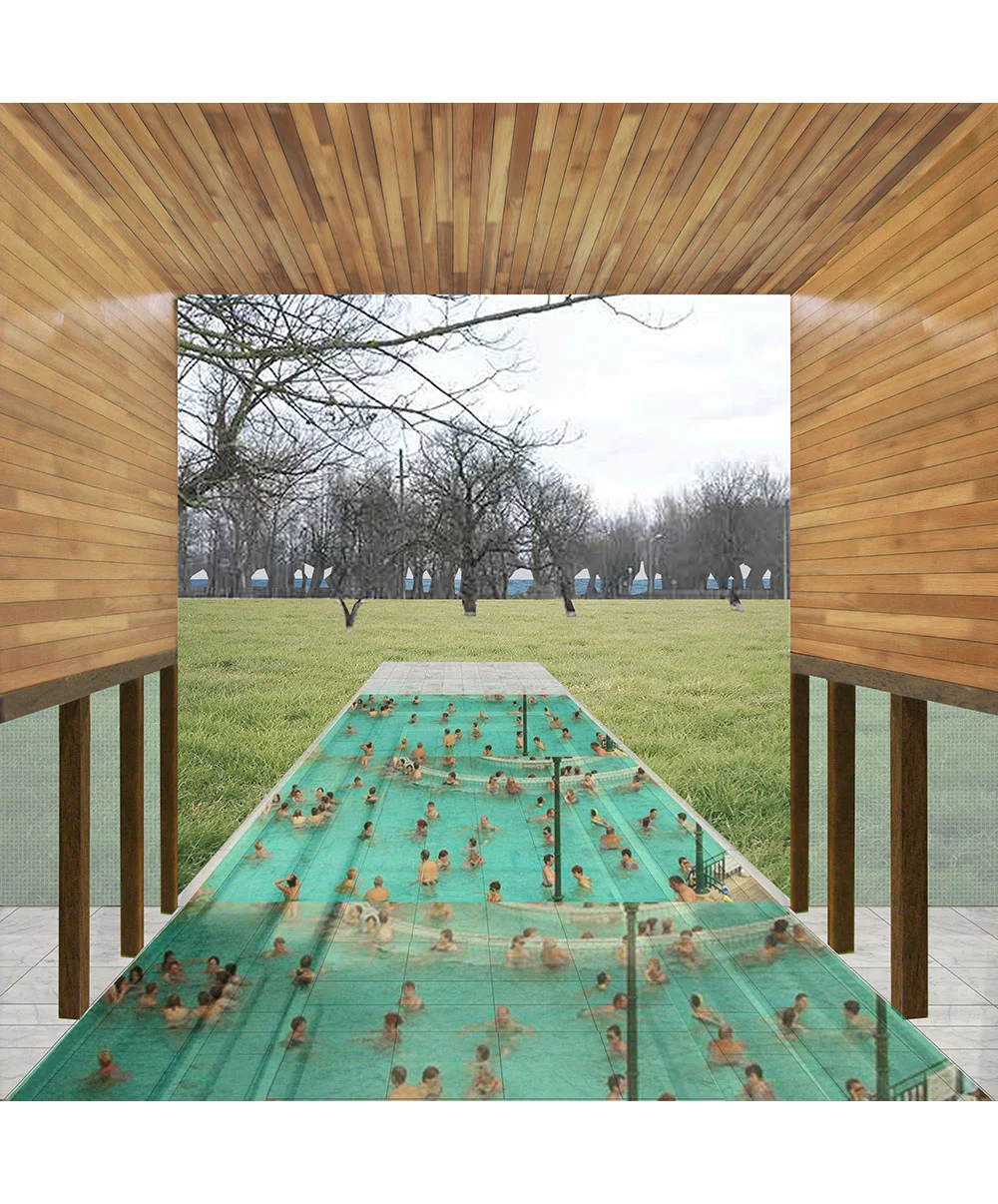 BTPP_cosmos_pool_02.jpg