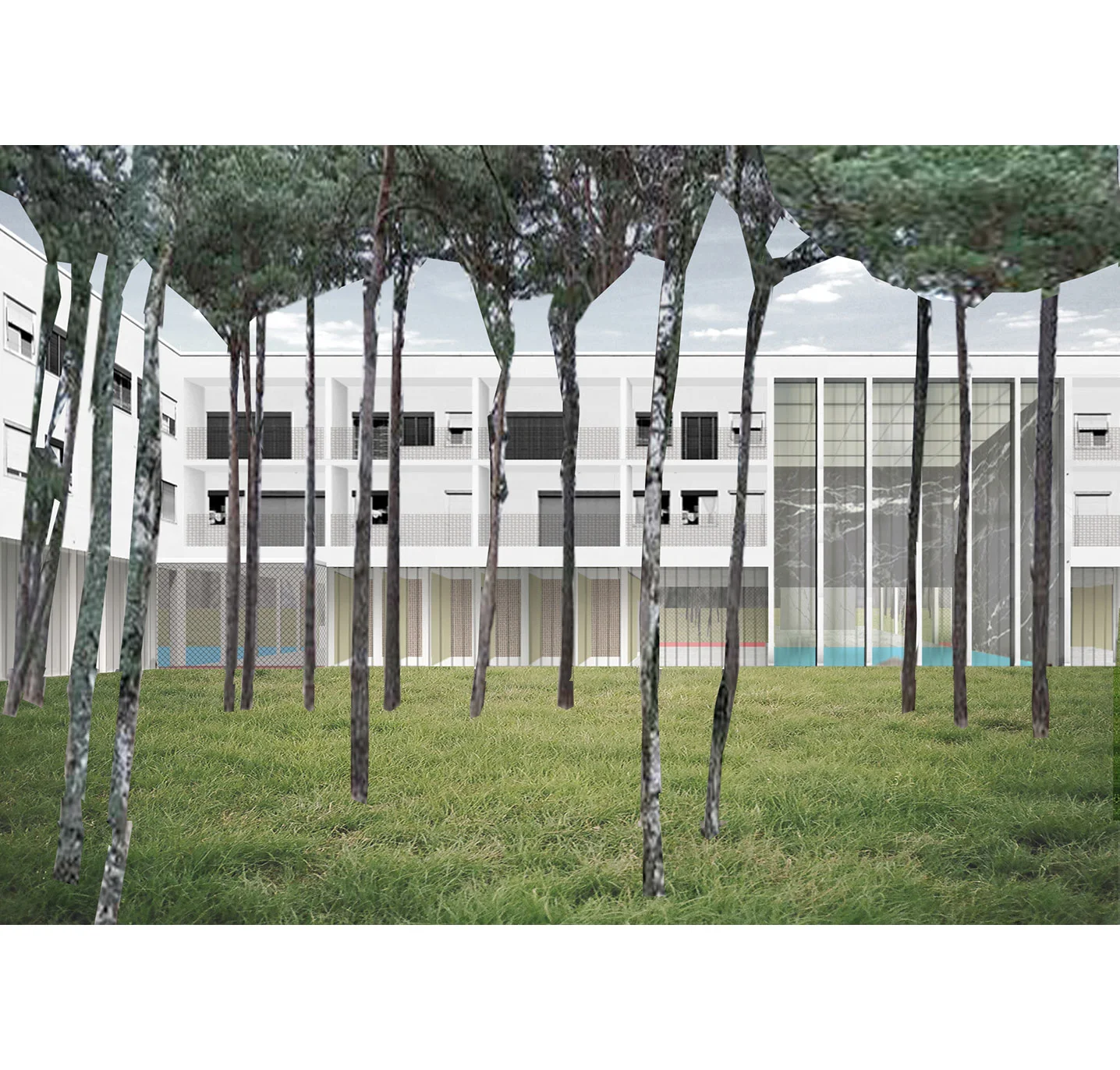 BTPP_cosmos_parkview.jpg