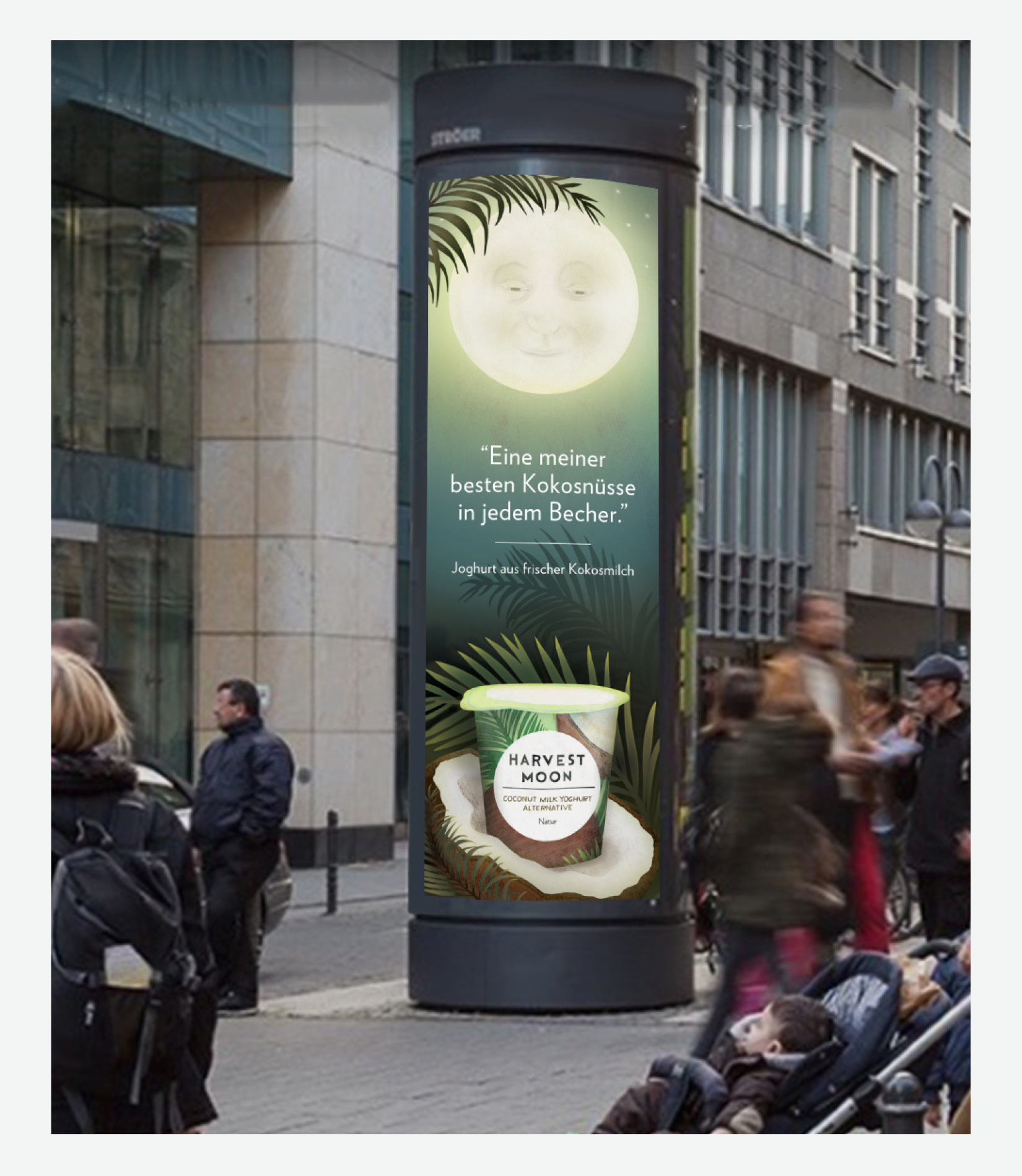 Launch Outdoor. "One of my best coconuts in every pot." Illustration: Anne Smith.