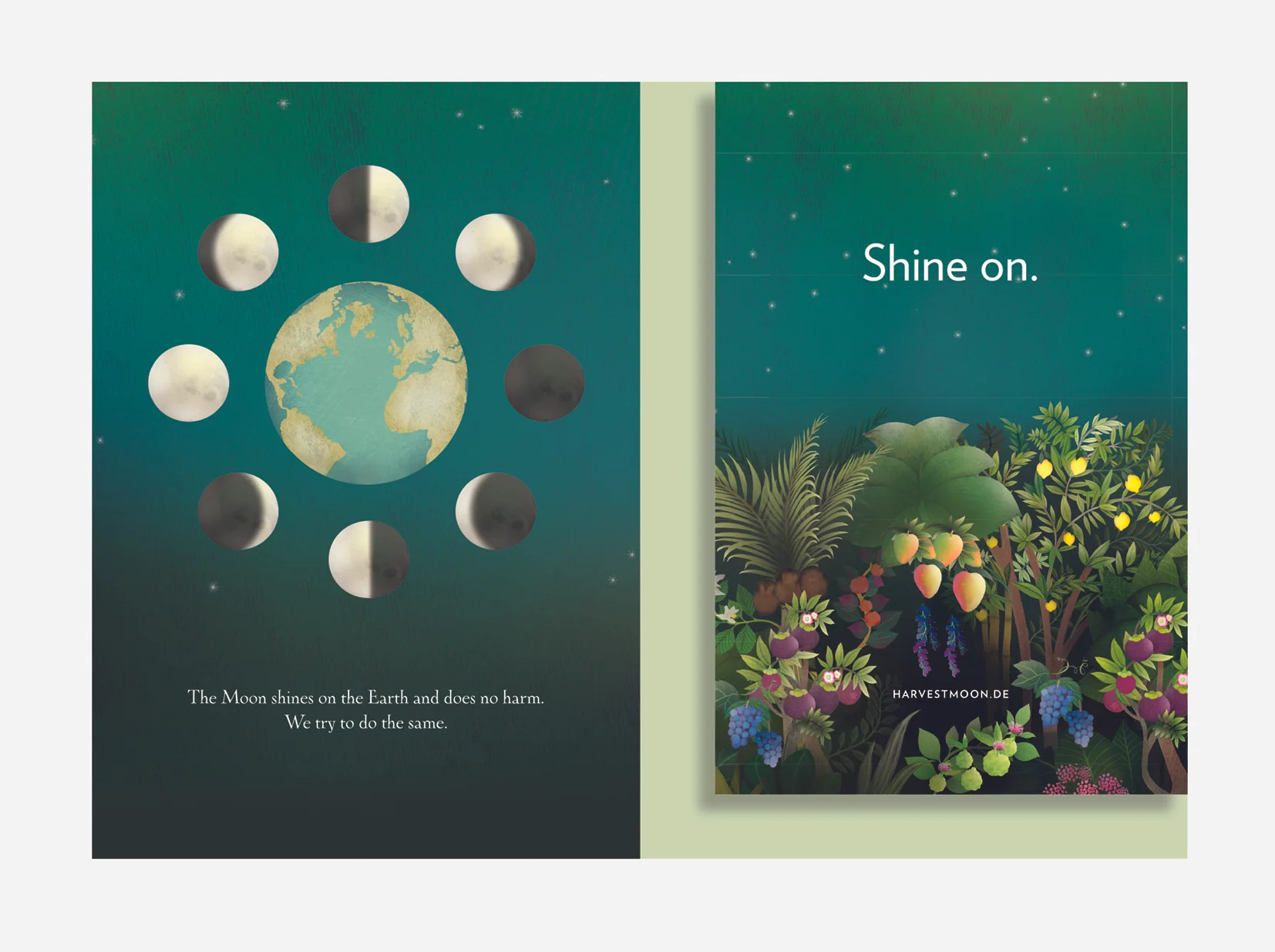 Above: Covers and selected spreads from the Harvest Moon brand brochure. Illustrator, Anne Smith.