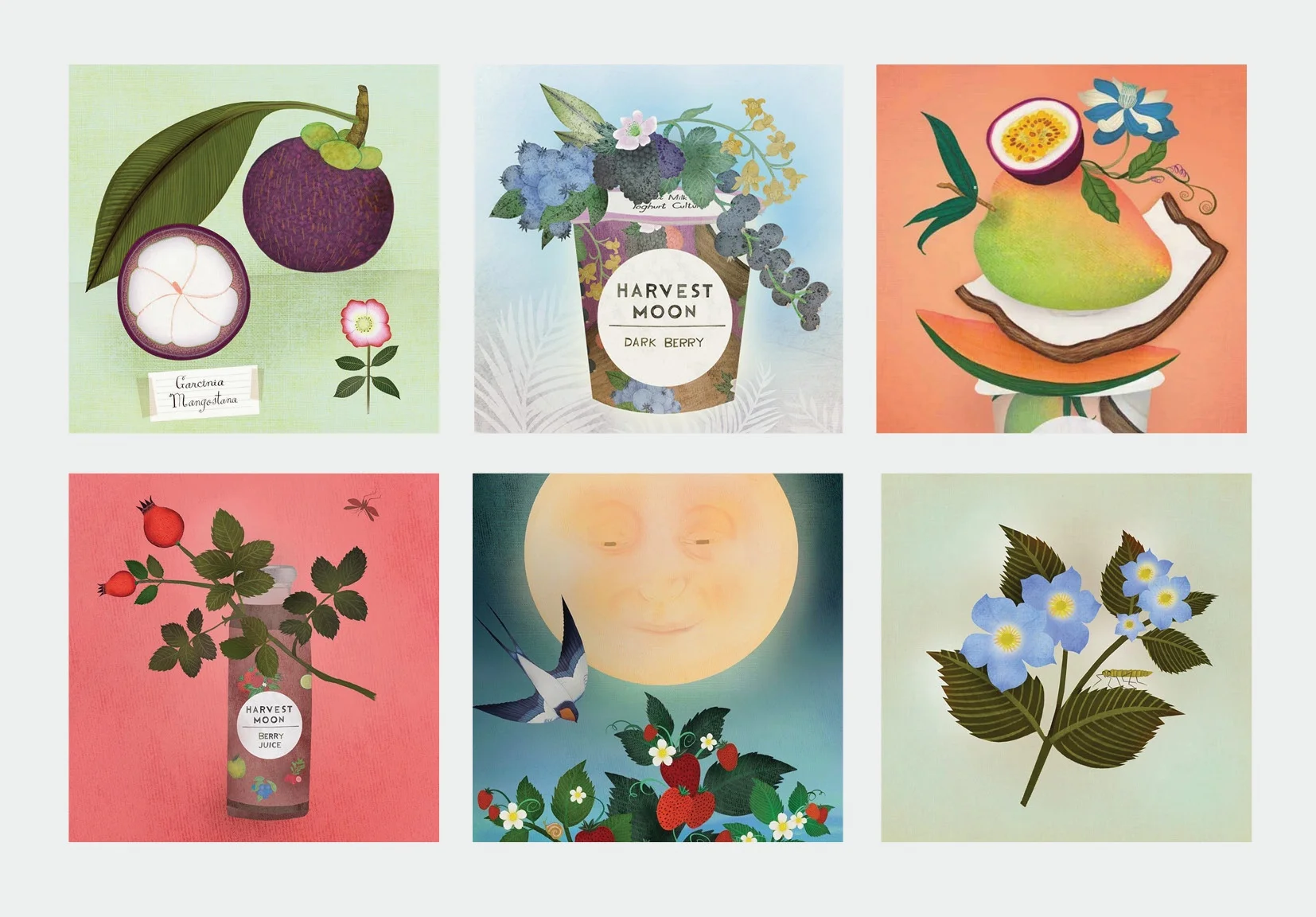Instagram campaign, tailor-made for Harvest Moon, 2017-2018, in collaboration with illustrator Anne Smith .