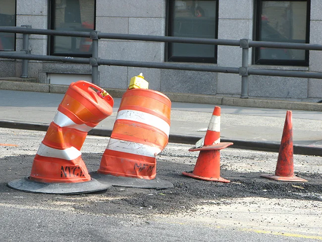 Cone-Family.jpg