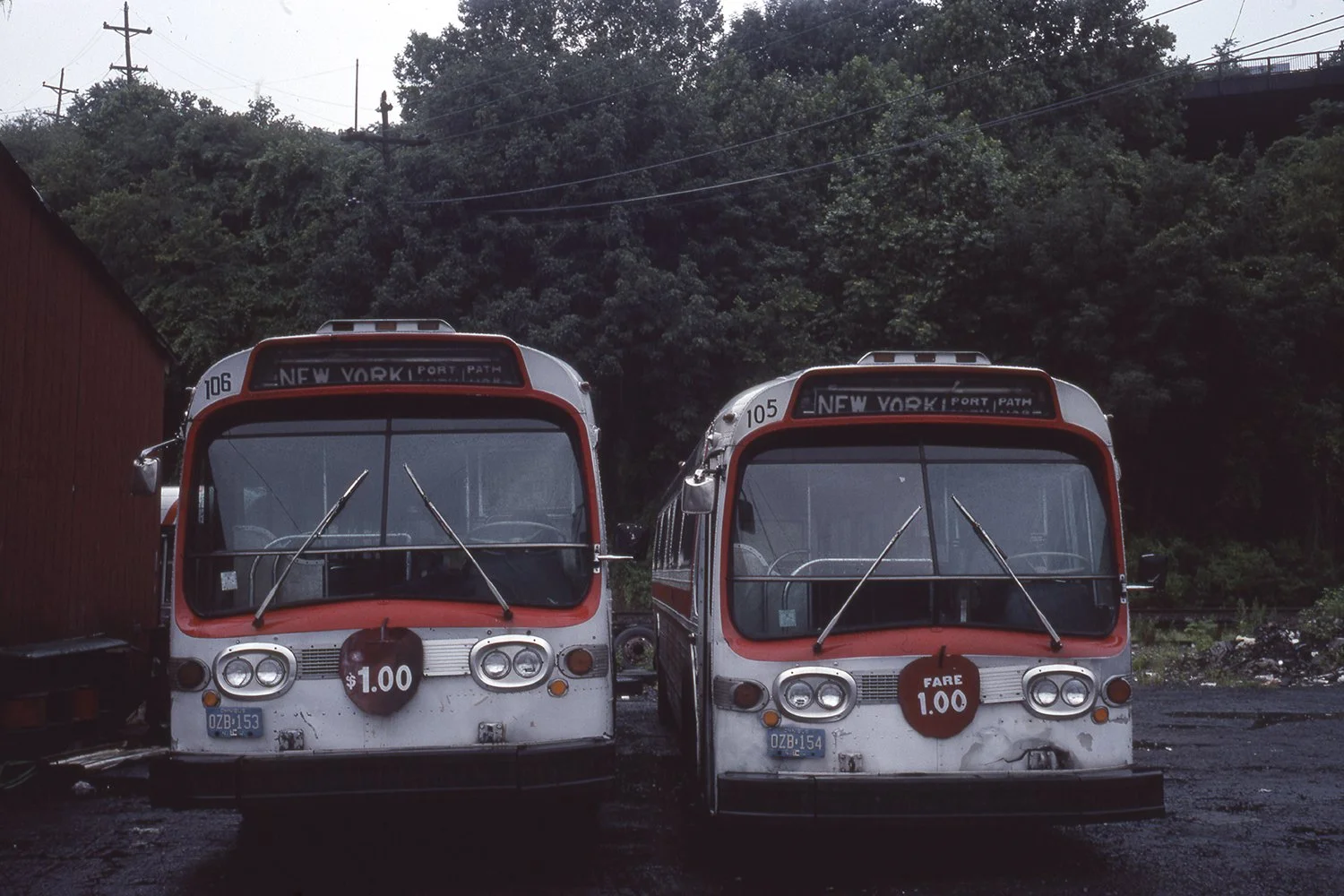 Portrait-of-two-buses,-Hoboken,-NJ web.jpg