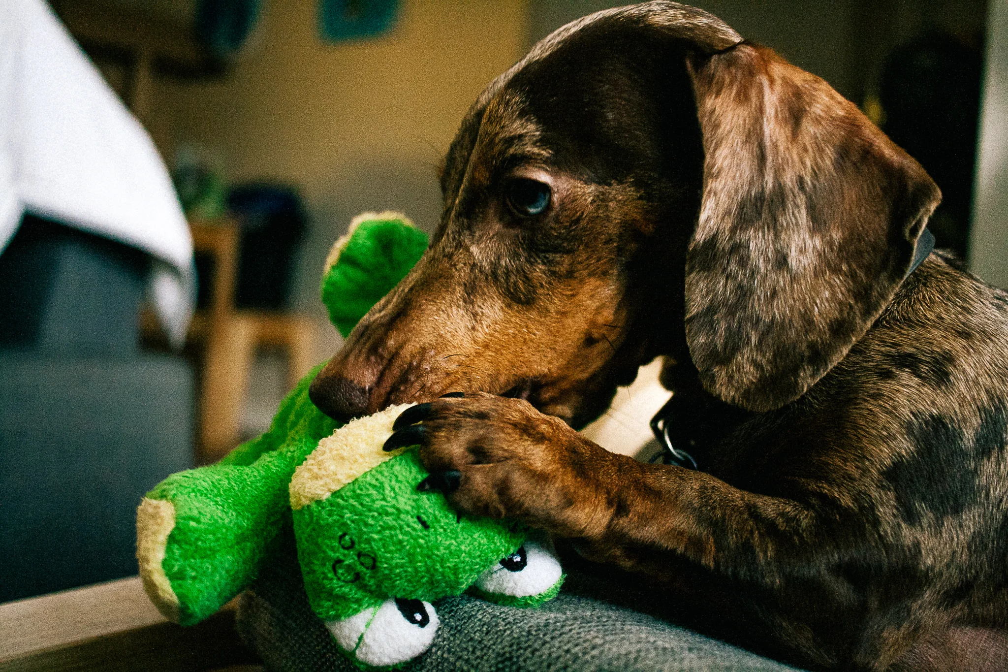 Canon xTi + 24mm 2.8