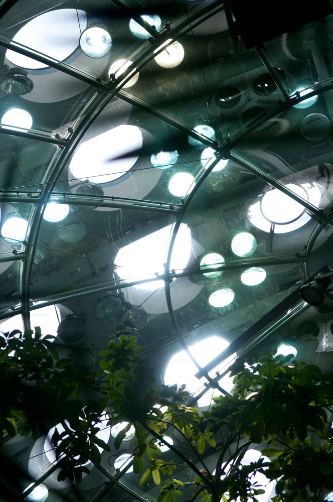 The California Academy of Sciences' "living roof" as seen from the buildings interior, San Francisco, 2012.