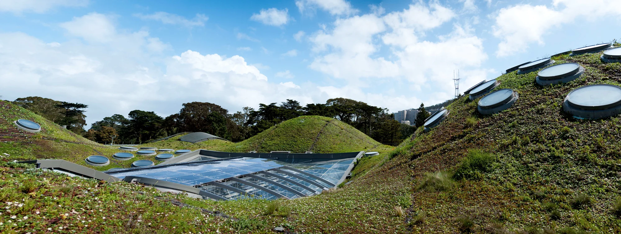  The California Academy of Sciences' "living roof," San Francisco, 2012. The Academy's green rooftop is home to at least nine native plant species and keeps the building's interior an average of 10 degrees cooler than a standard roof would. 