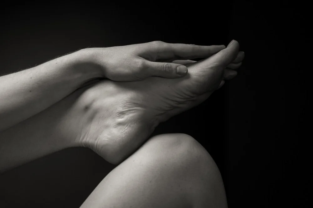 Anatomy study 2. 