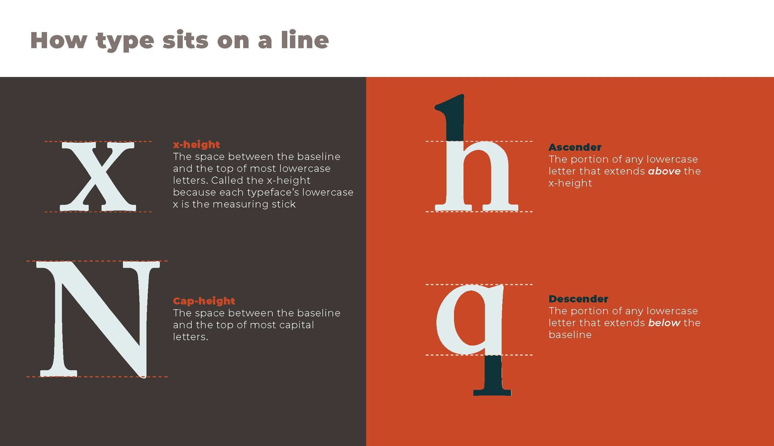 Intro to Typography Deck_Page_04.jpg