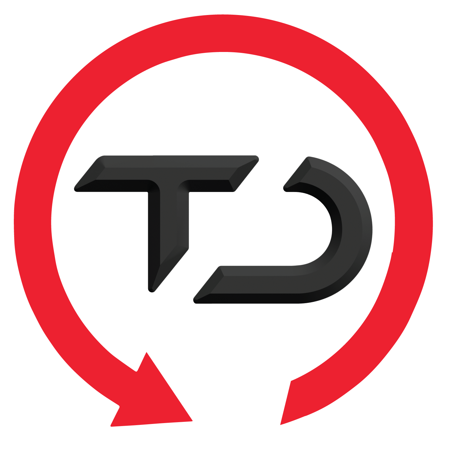 TD Logo DSC 3D - RB.png