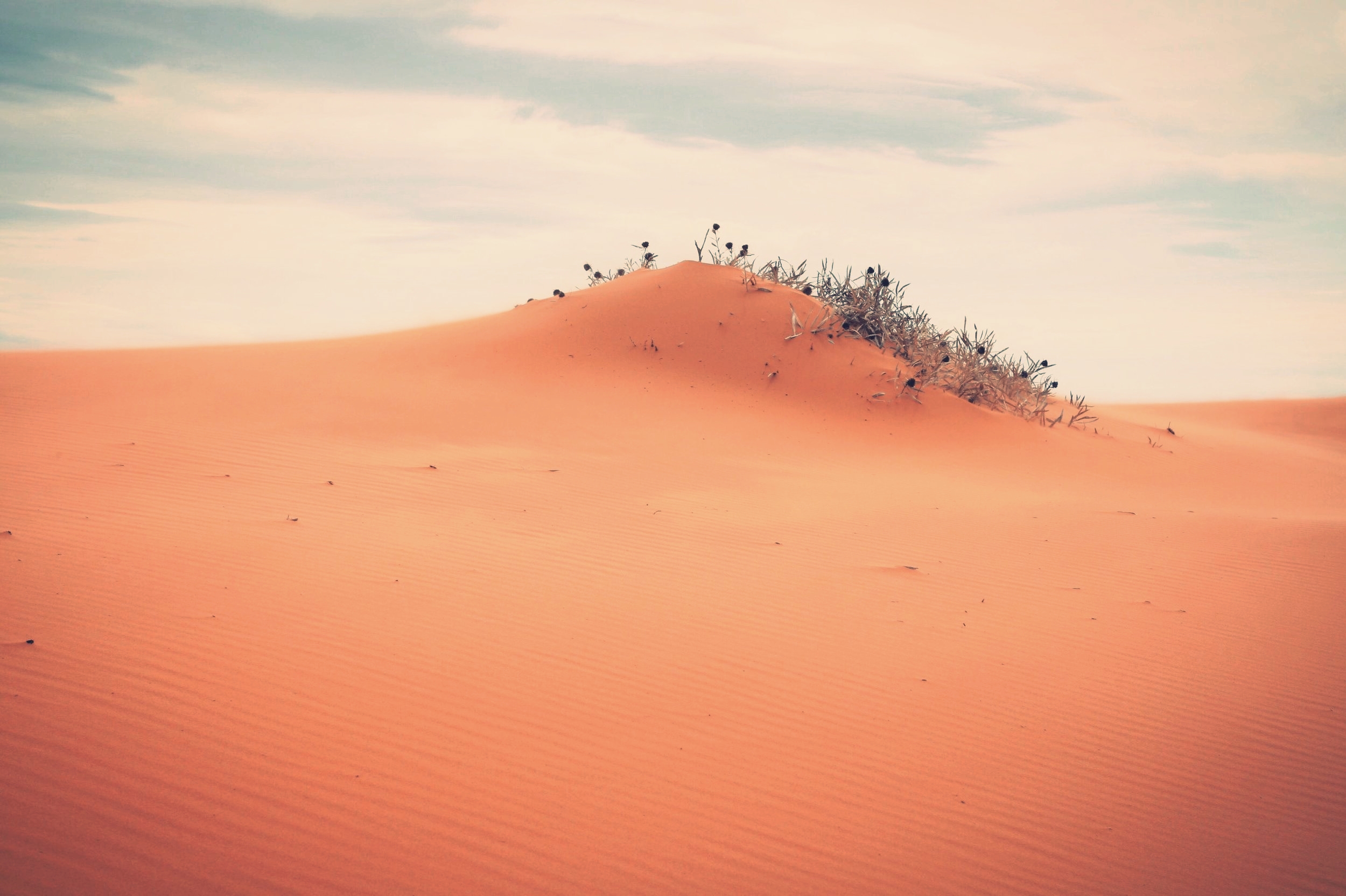 CoralPink Sand Dunes- Utah