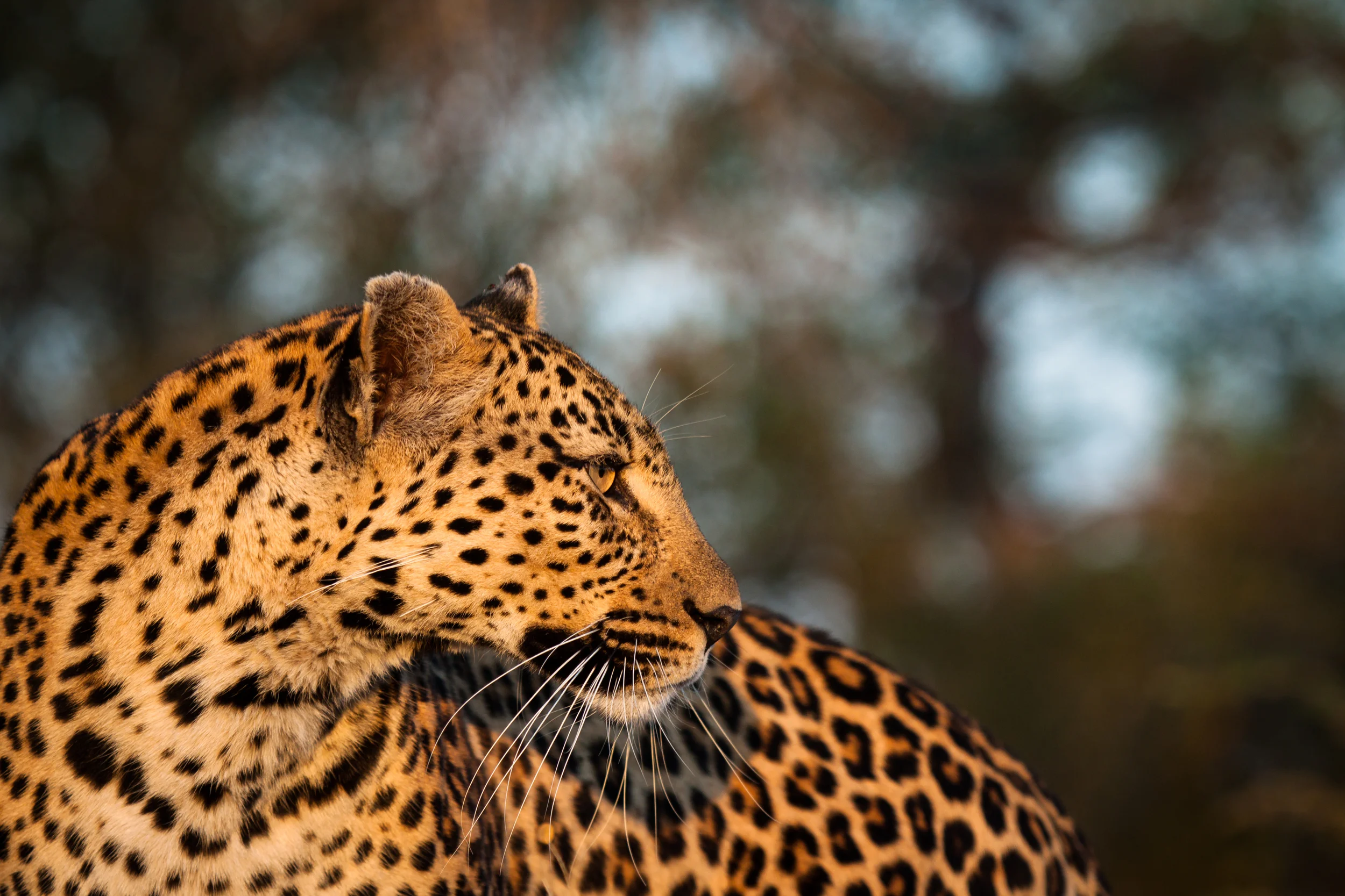 _MG_5870.jpg