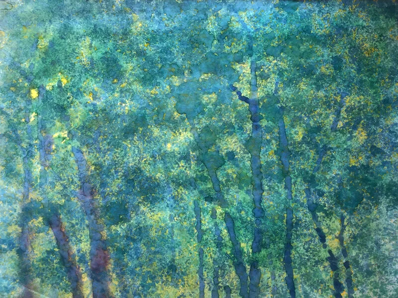 foret-800x598_0051.jpg