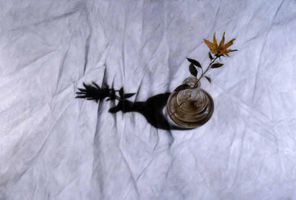 What is an occasional table when it's not being one 1997 55x38 cms