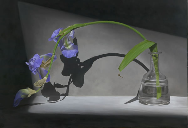 Sadness Is A Private Garden 2005 130x89 cms