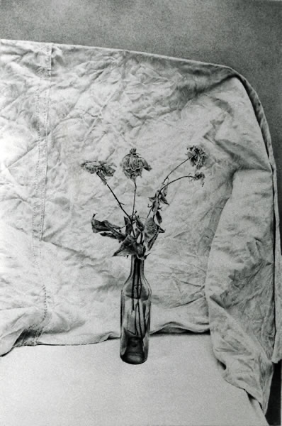 In a private garden 1984 33x22 cms