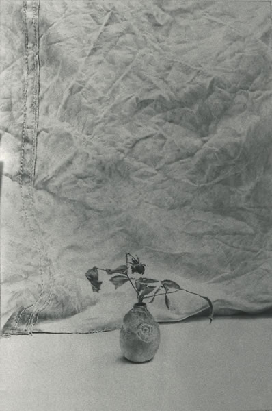 And so little flower 1984 33x22 cms