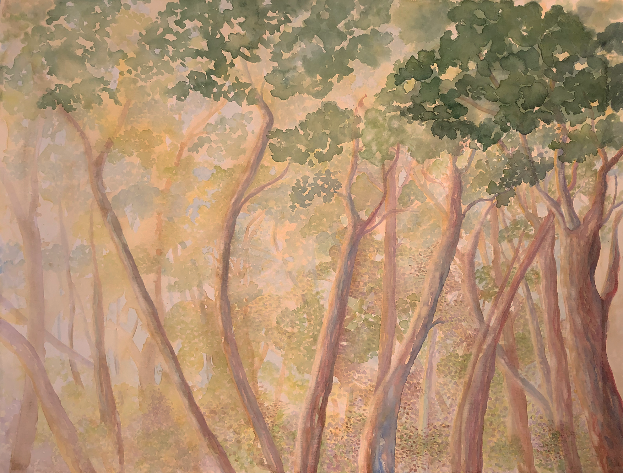 FORET3.png