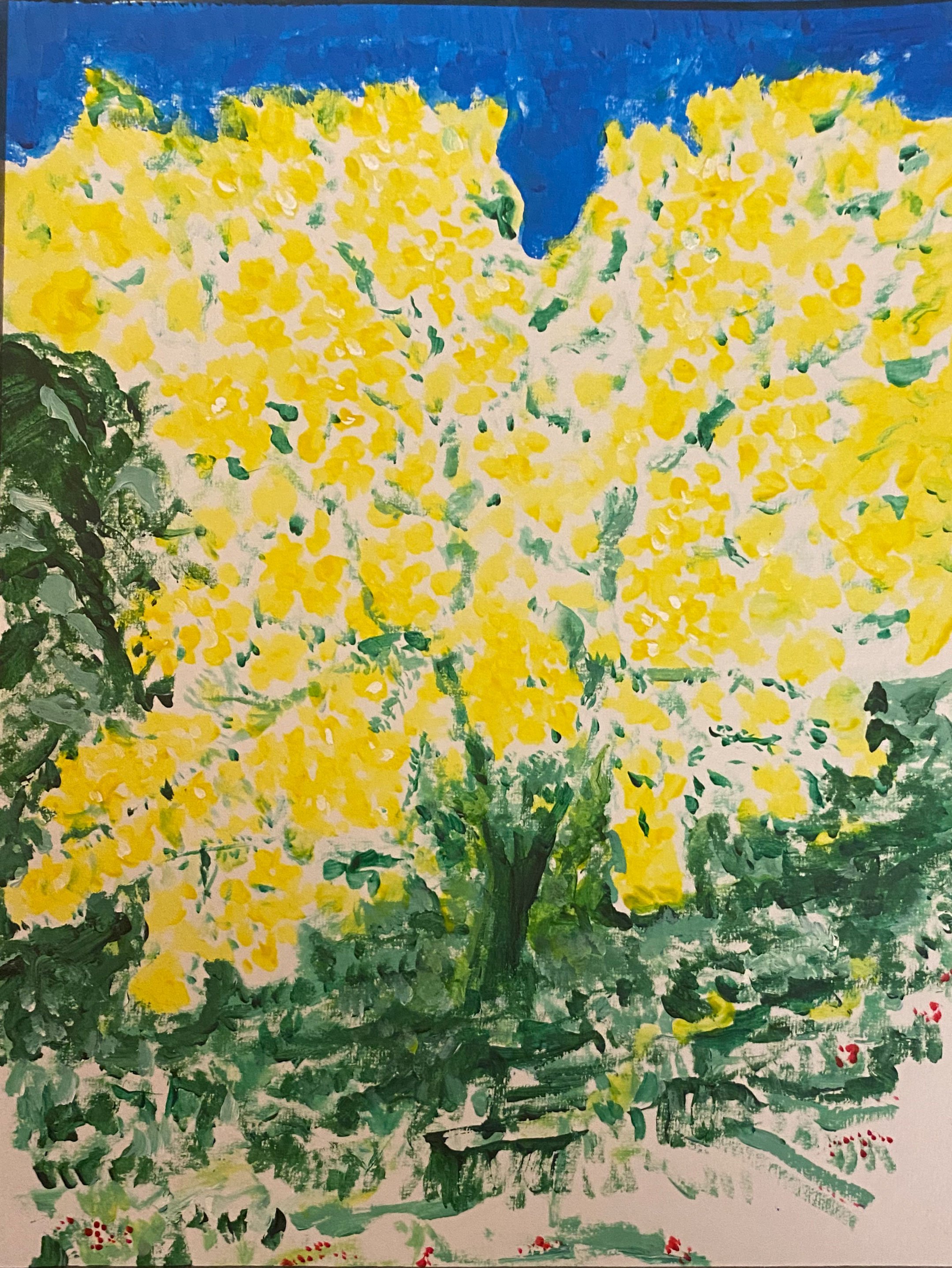 Paysage1.jpg