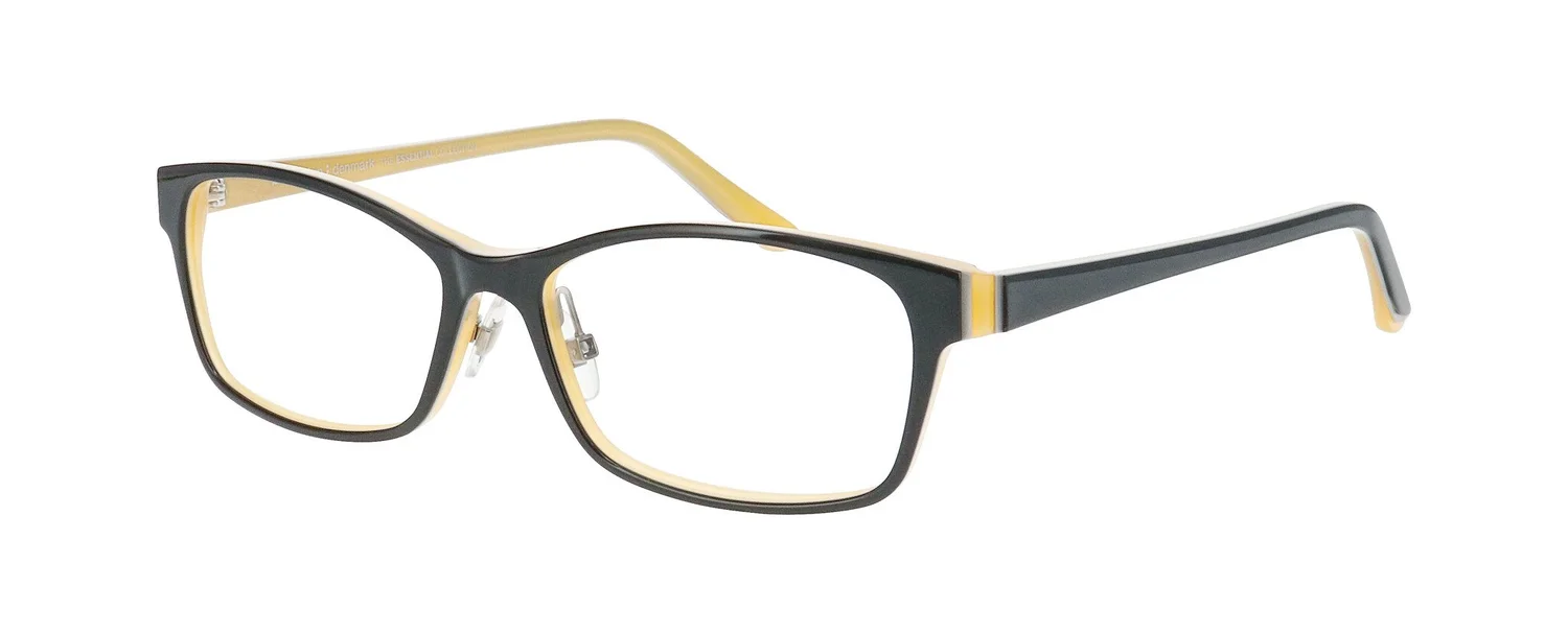 Prodesign Denmark Seventeen Frame — Roberts Brown Opticians