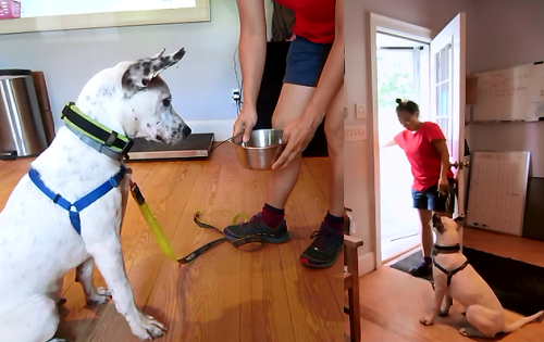 Impulse control is a big part of Fundamentals