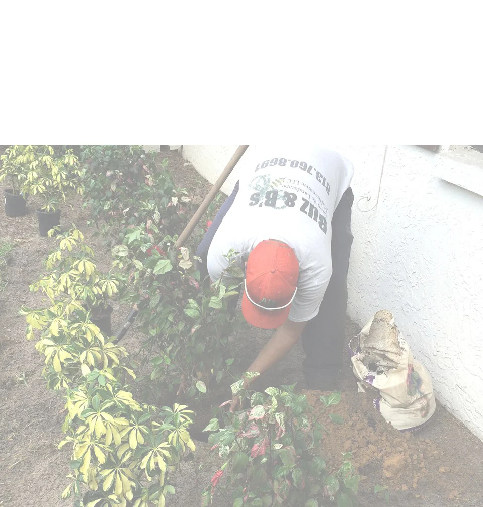 Landscaping - Mulch2.jpg
