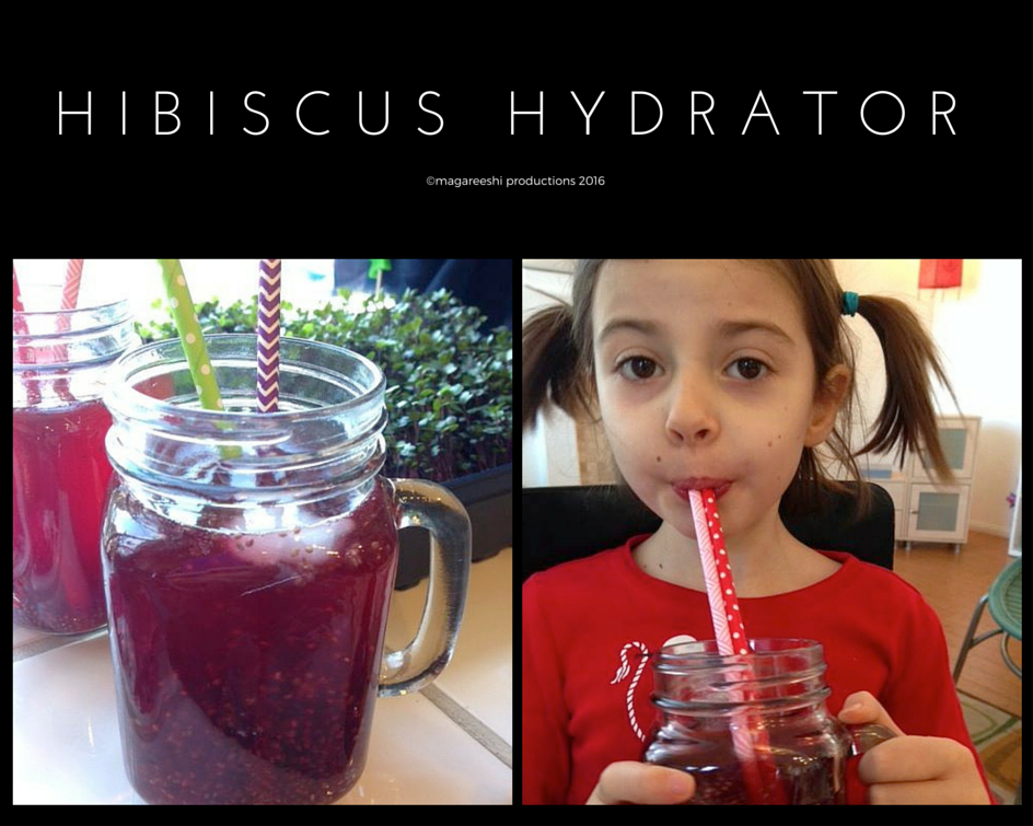 hibiscushydrator.png