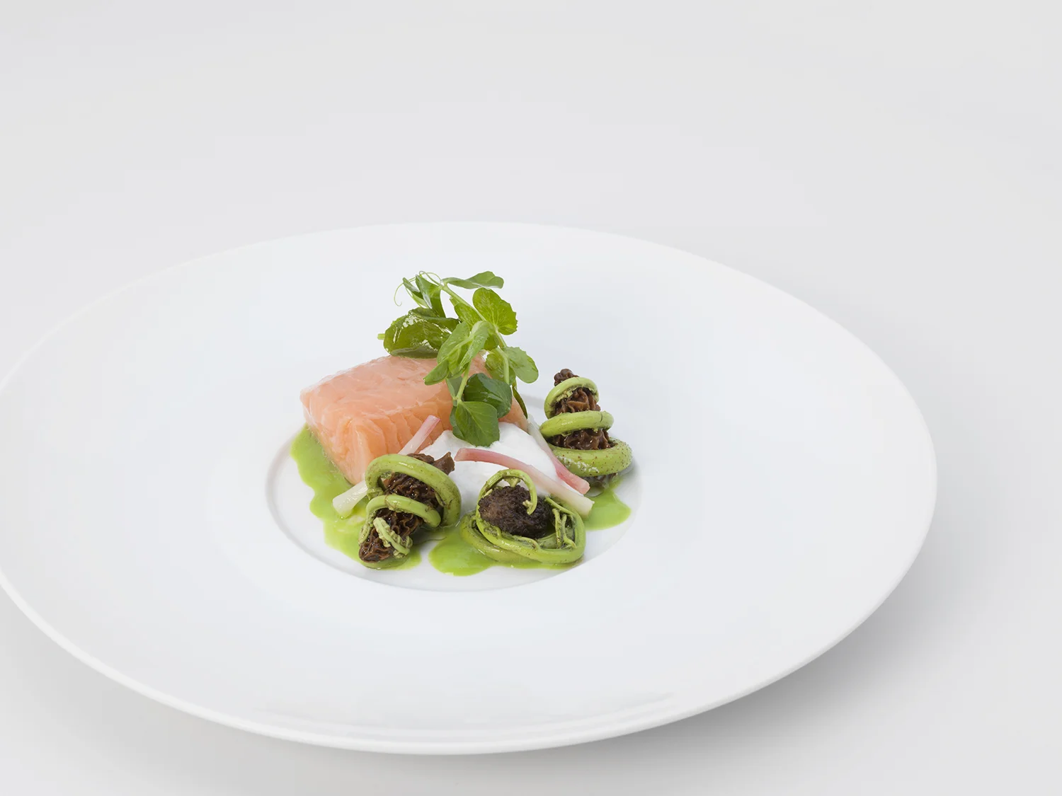 salmon_0010.jpg