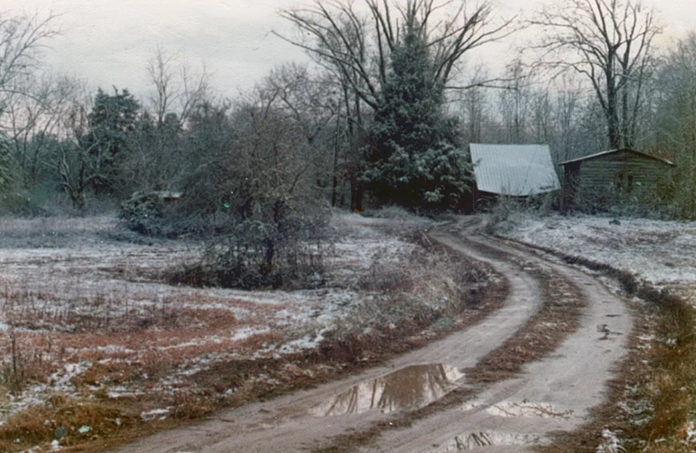 Winter