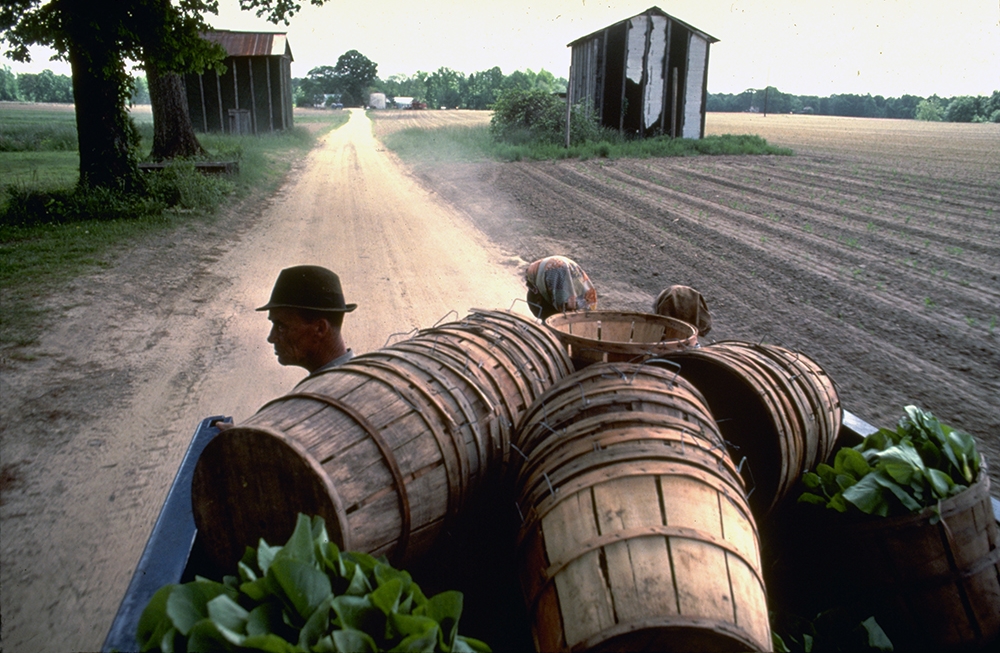 Tobacco Road