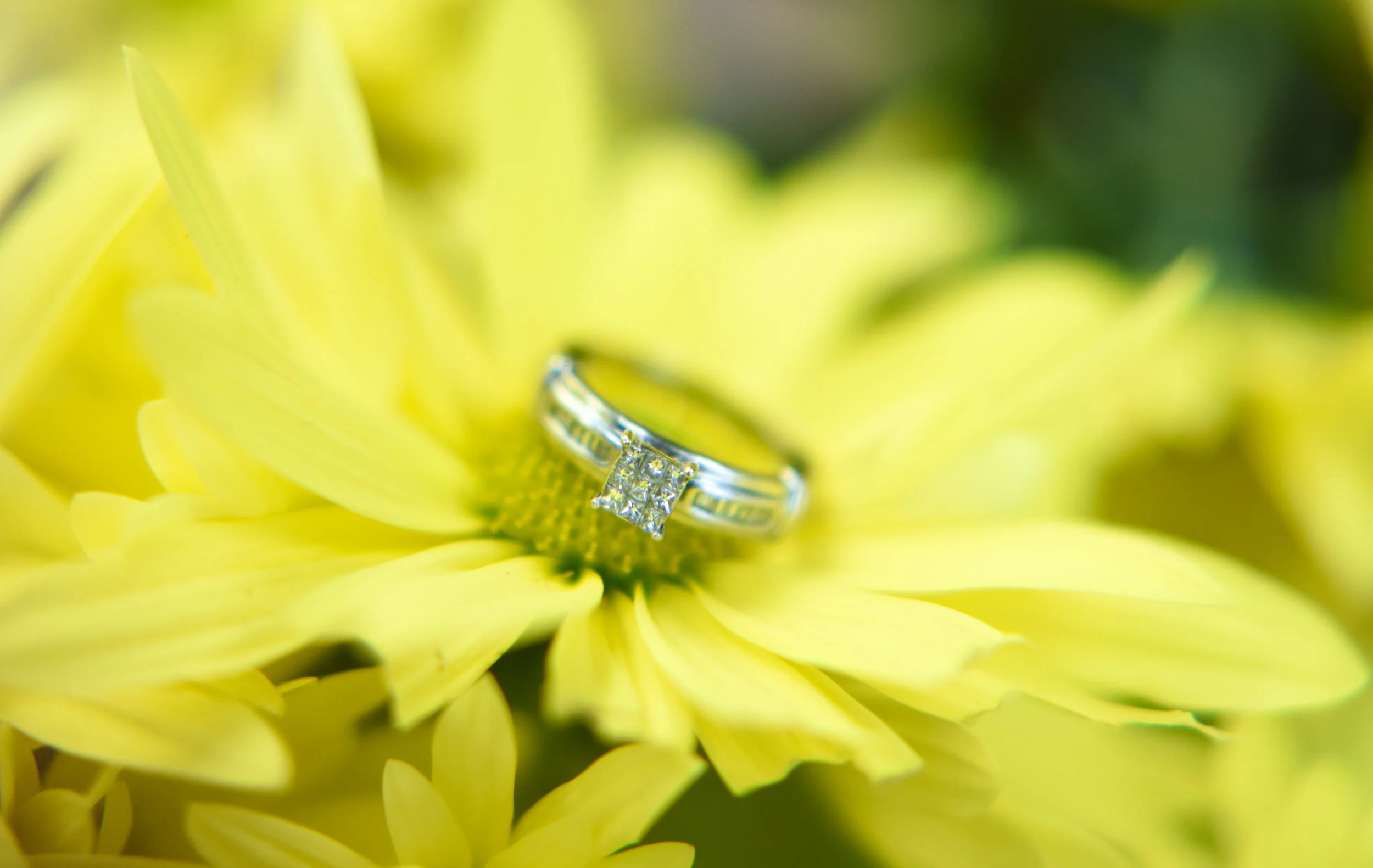 Photographers In Washington D.C. - Ring Shot- Wedding Ring -National Harbor