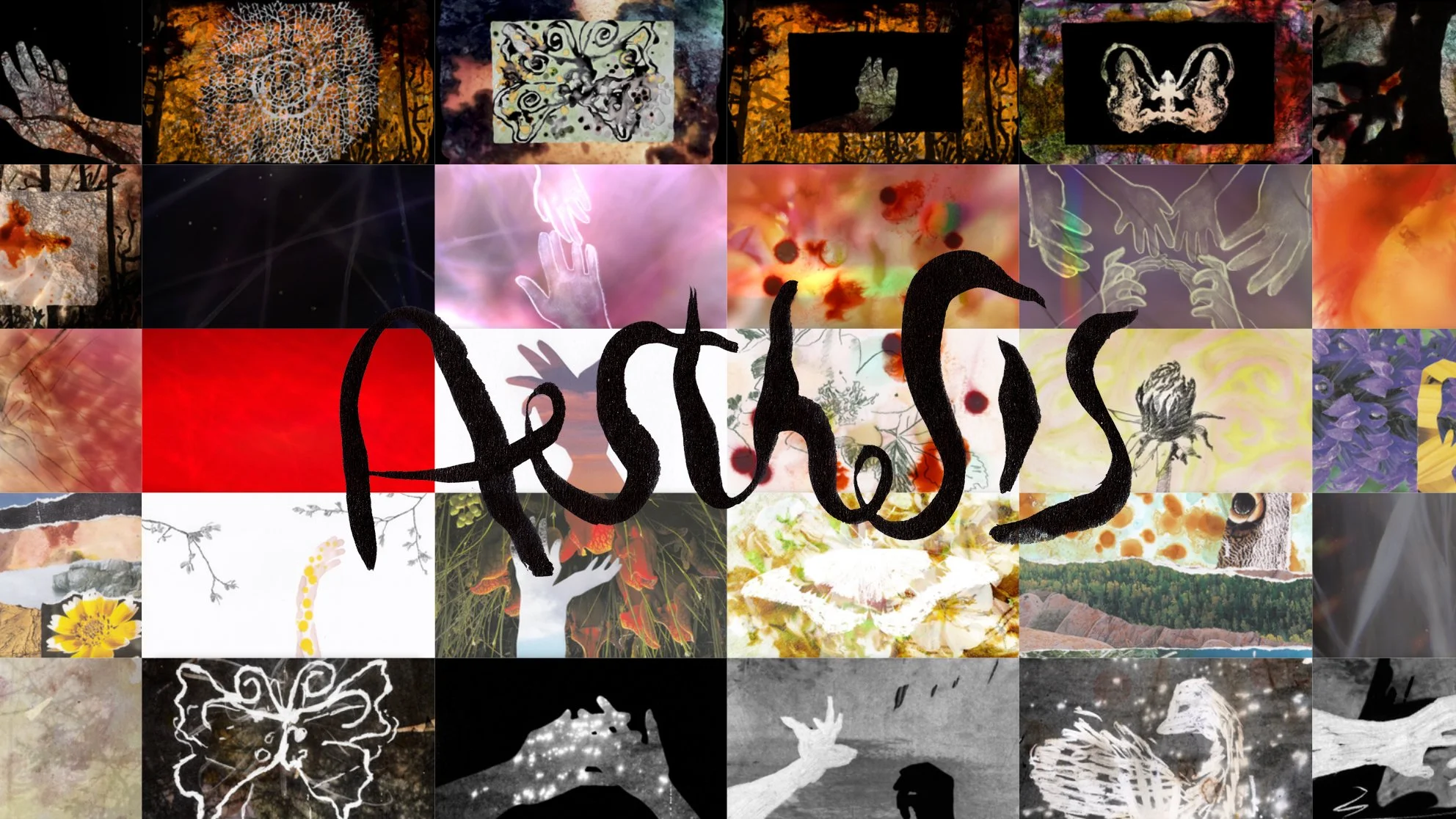 Aesthesis (Film)