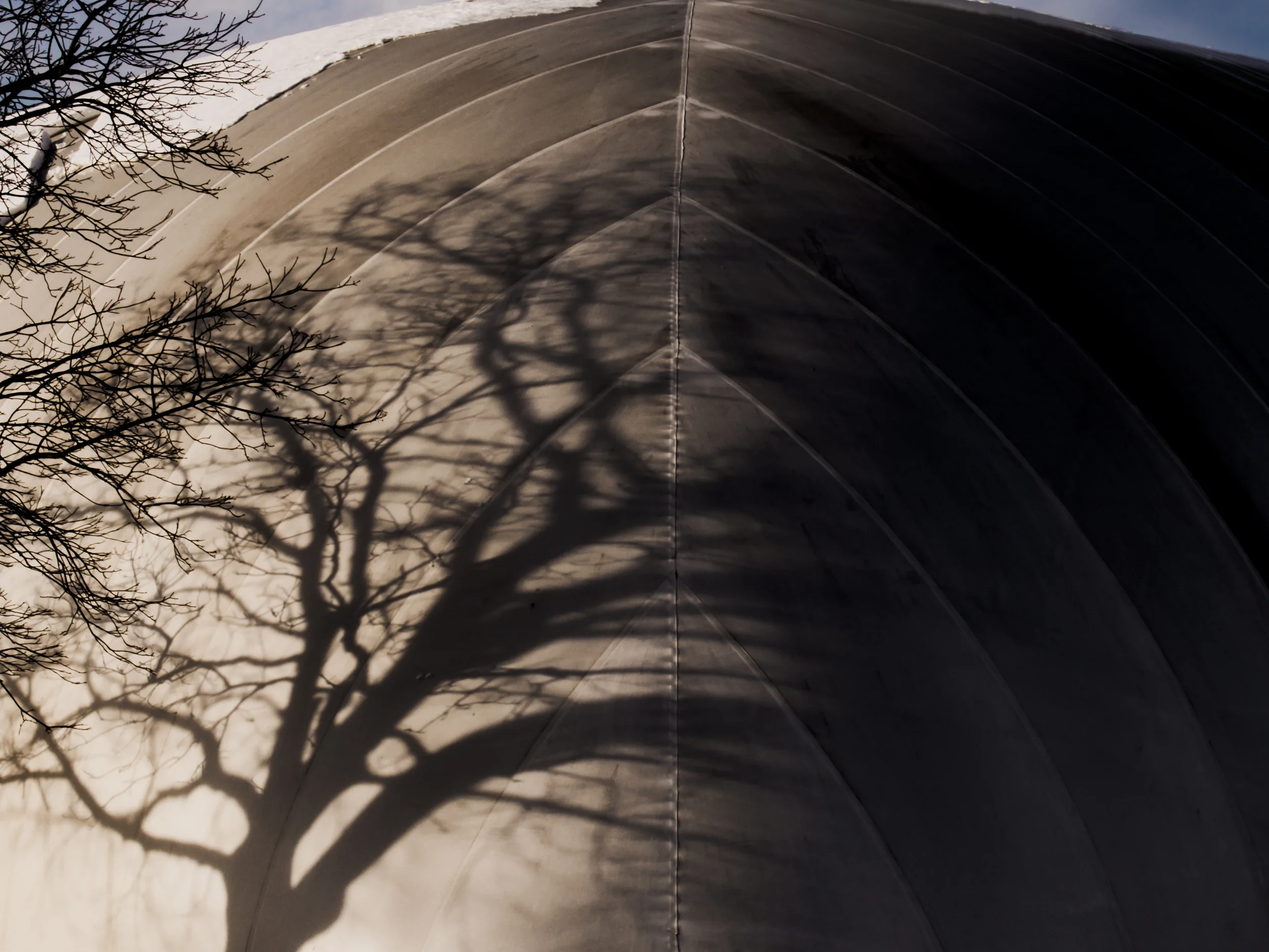 Tree_shadow_001.jpg