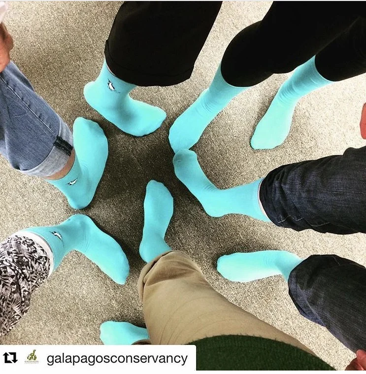 The office at the Galapagos Conservancy!