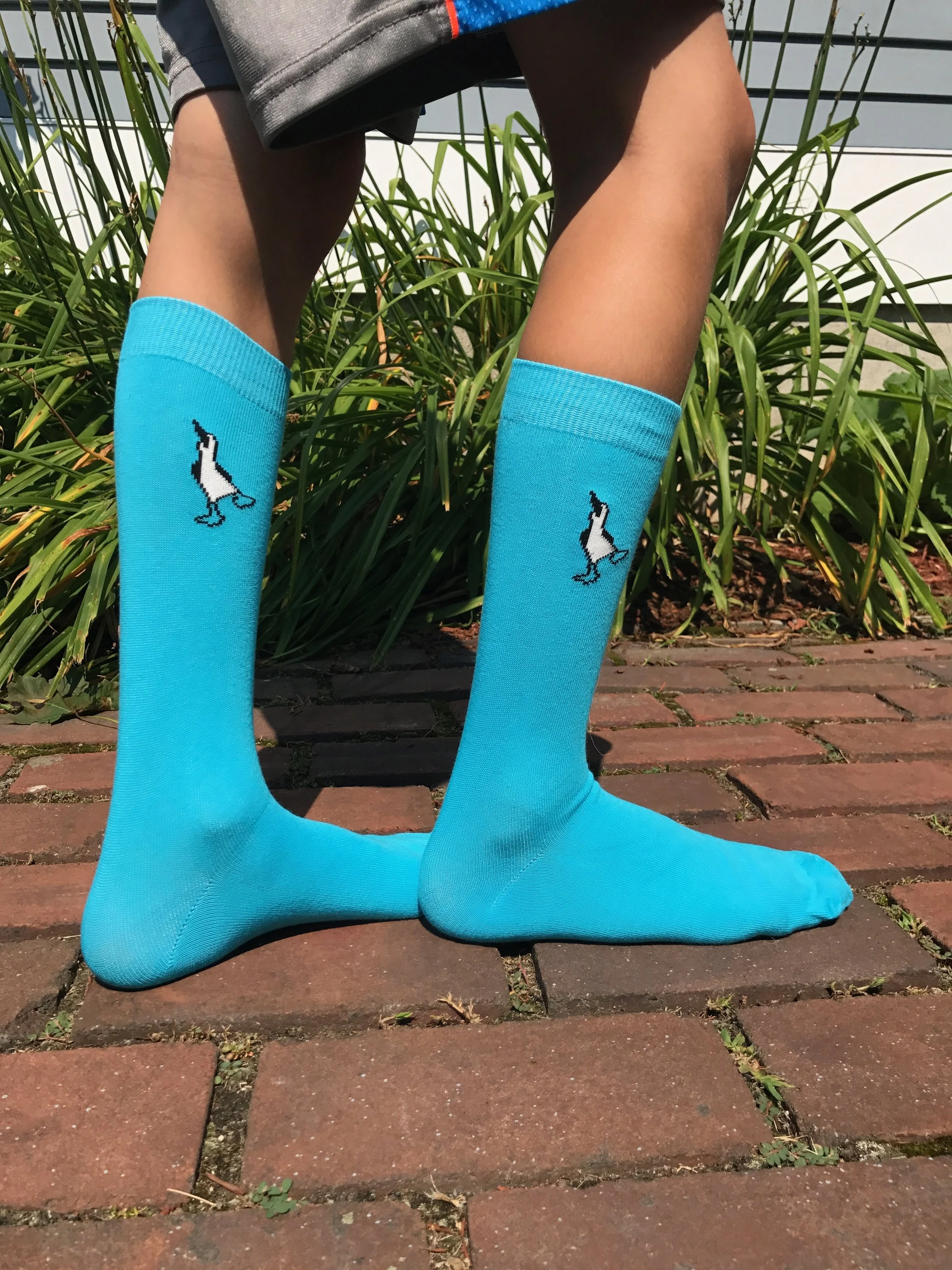 new socks india.jpeg