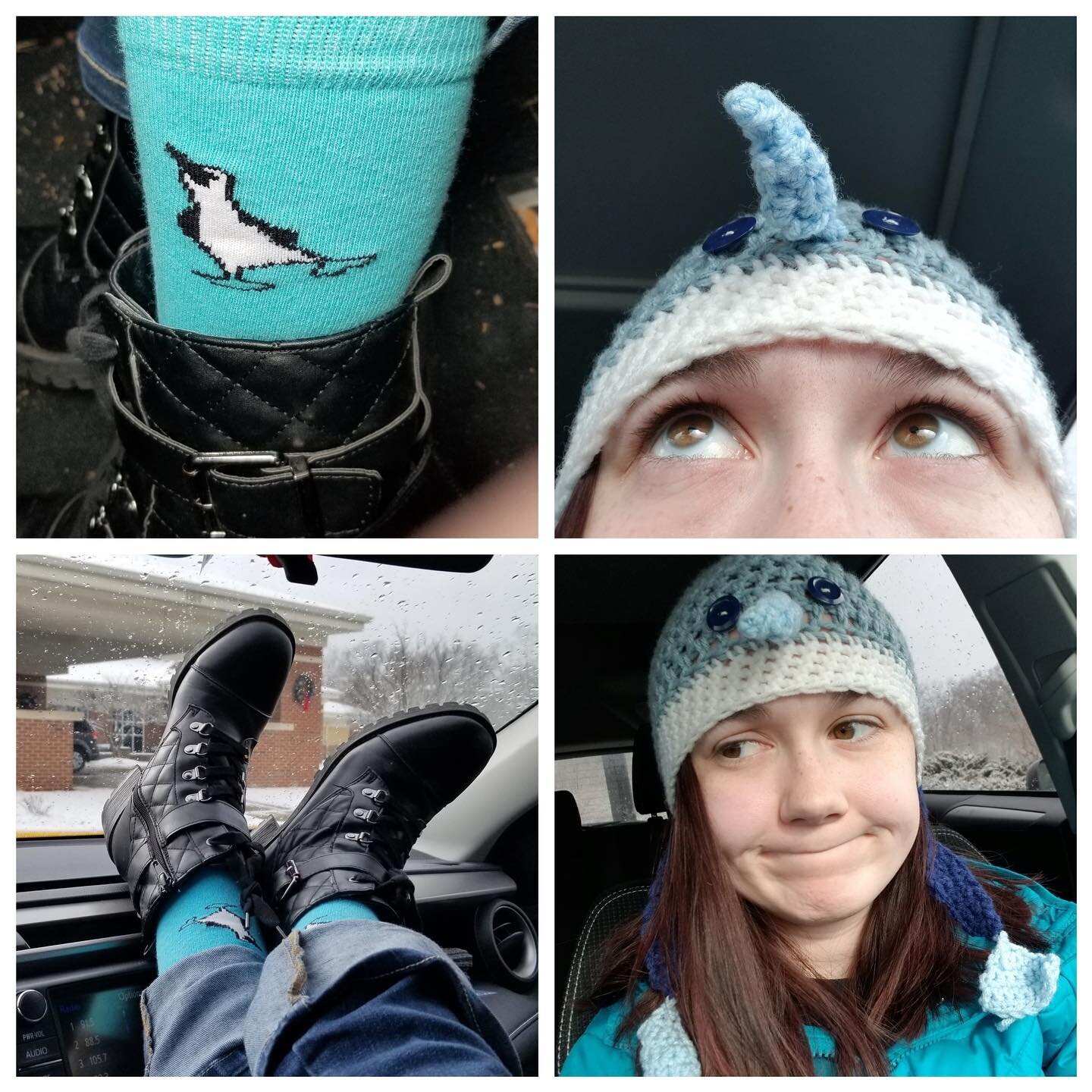 Thanks for the photos of a snowy day in central Illinois. 

#bluefootedbooby #bluefeet #bluesocks #socksofinstagram #socksoftheday #conservation #kidscanchangetheworld