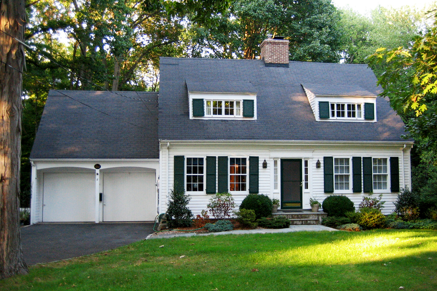 Before Photo of the front of the house