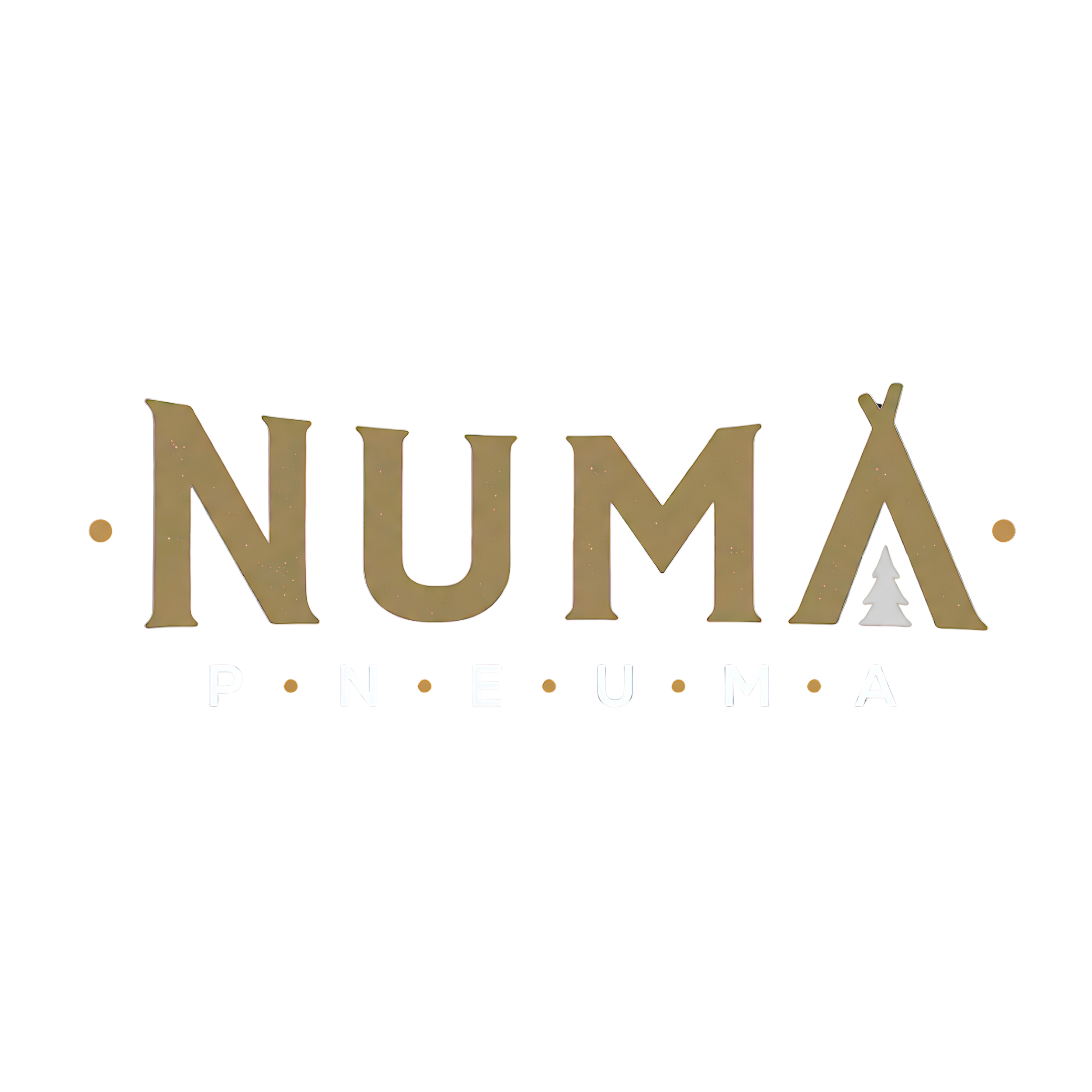 NUMA transparetne big.png